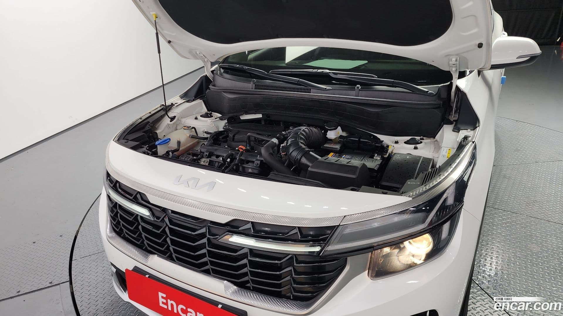 Main__Slider__Photo:Seltos Kia 2022.8-5