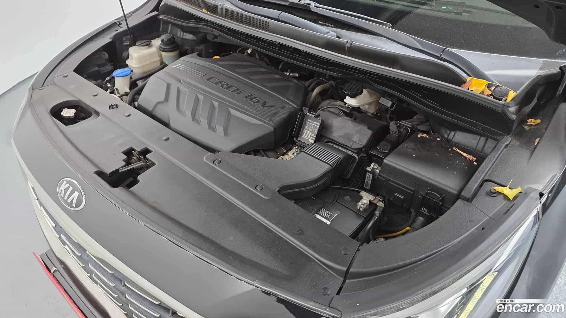 Canival Kia 2018.5-INNER-006