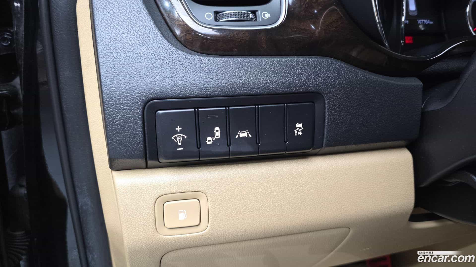 Canival Kia 2018.5-OPTION-021