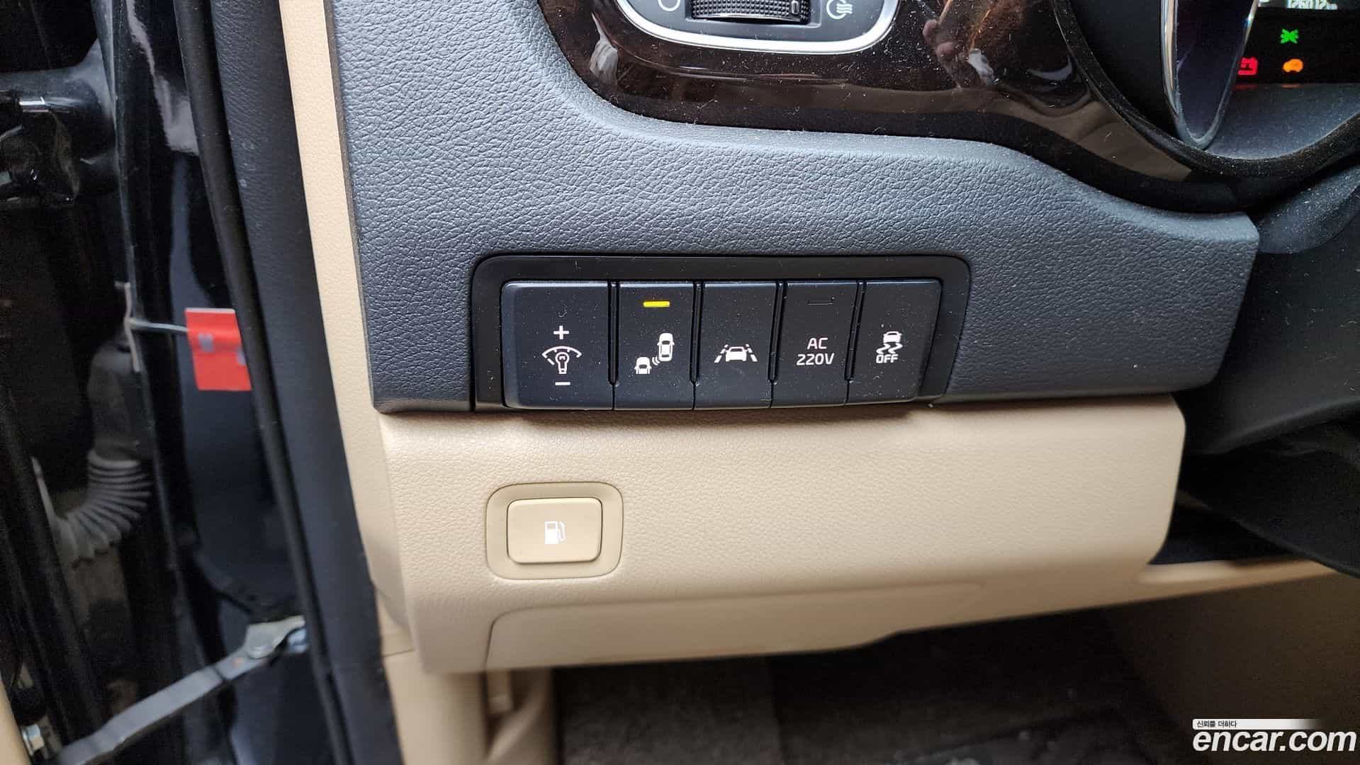 Canival Kia 2019.11-OPTION-021