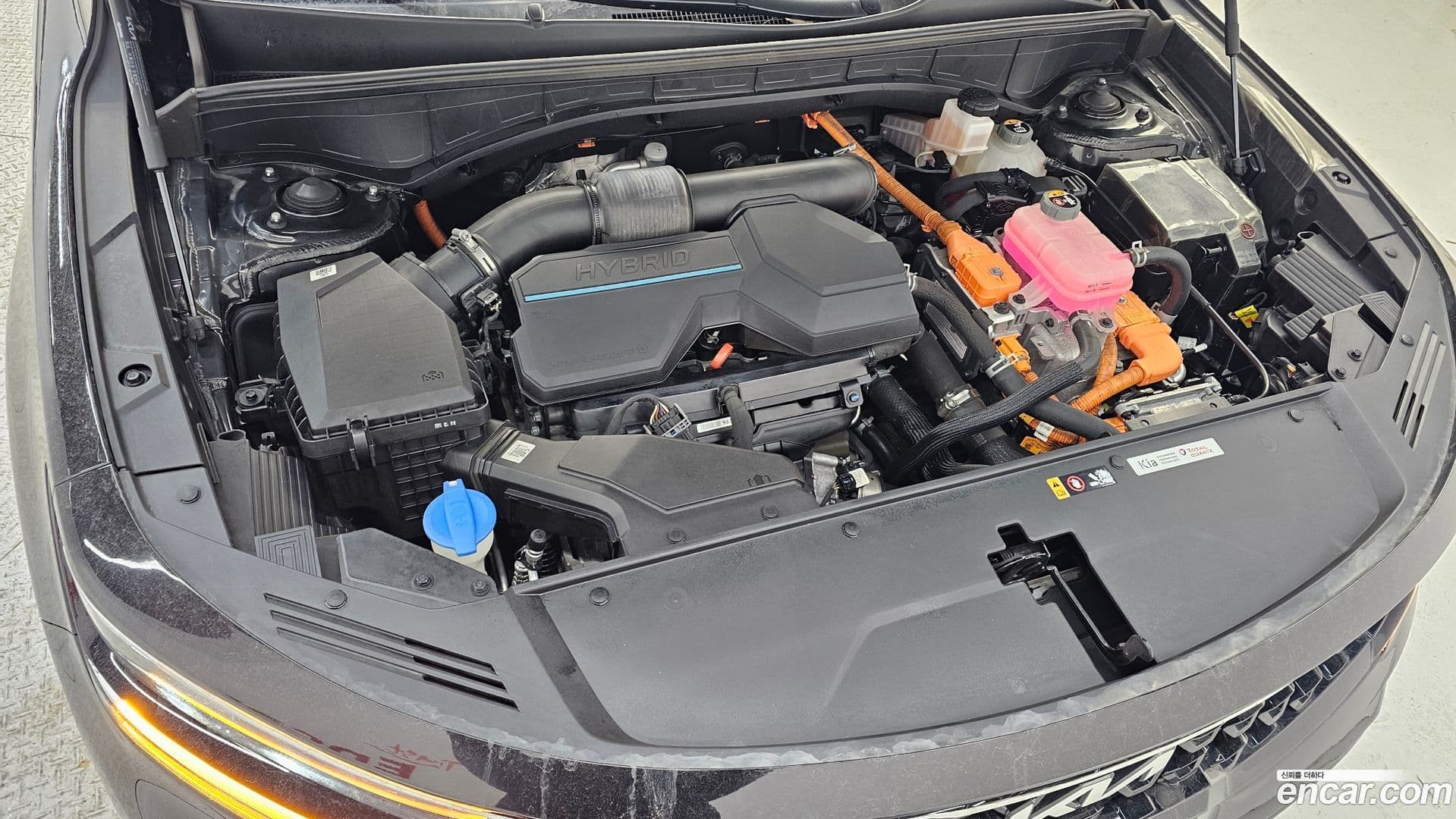 Main__Slider__Photo:Sorento Kia 2021.11-5