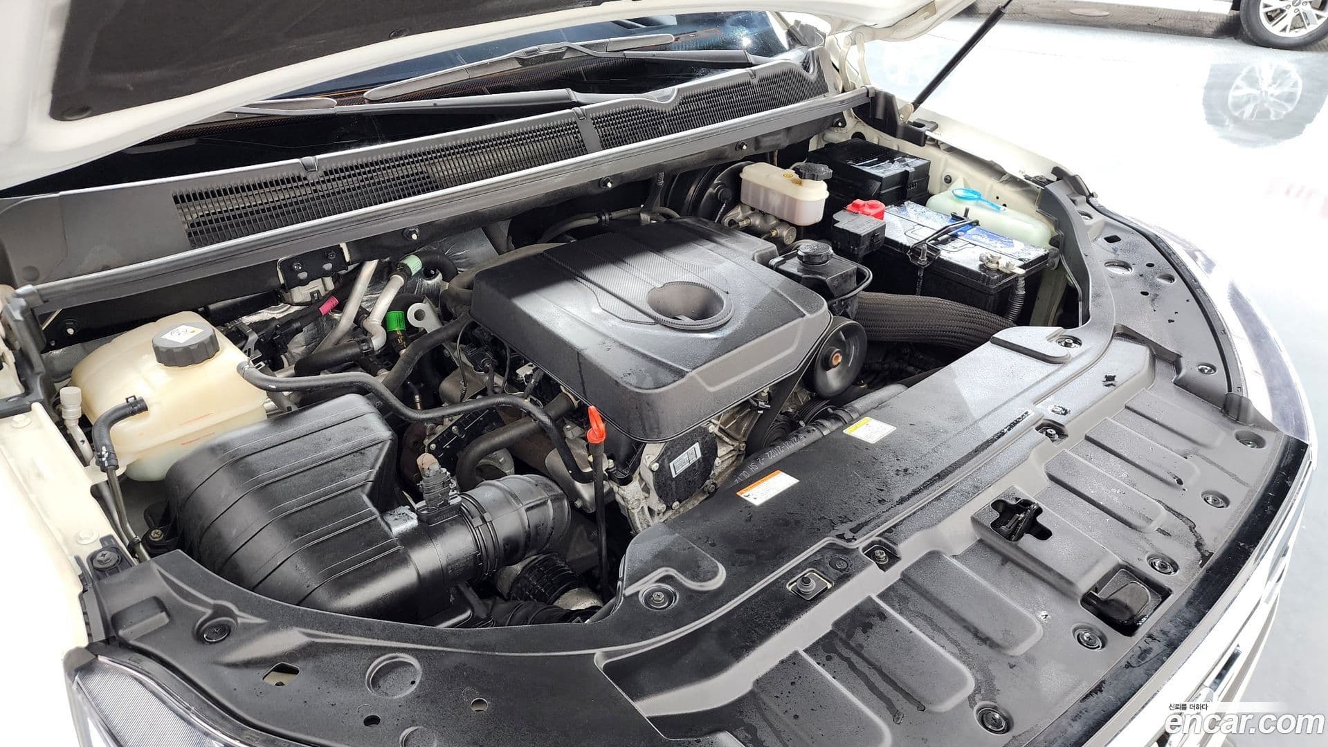 Main__Slider__Photo:KORANDO KG_Mobility_Ssangyong 2018.5-5