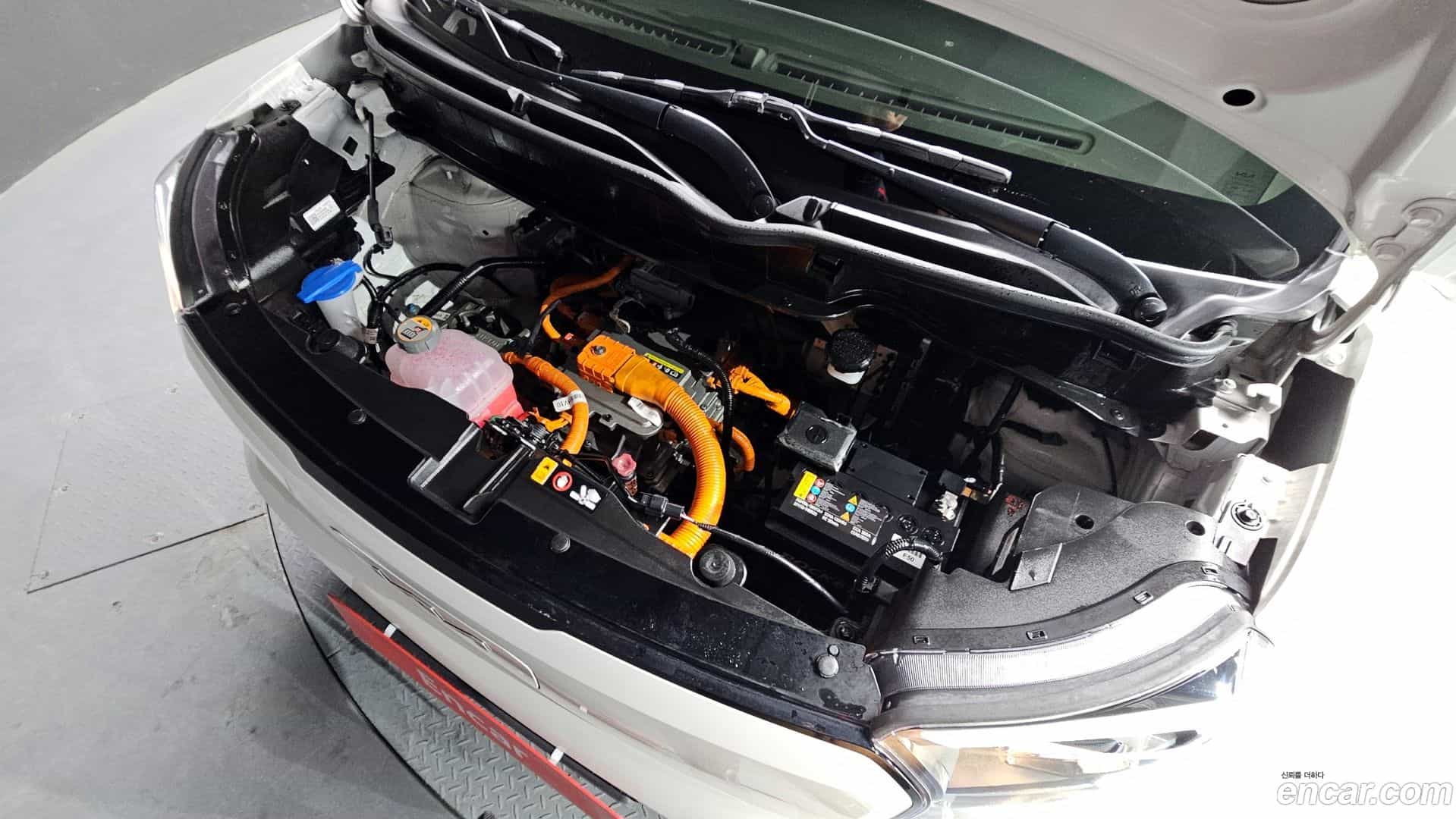 RAY Kia 2023.9-INNER-006