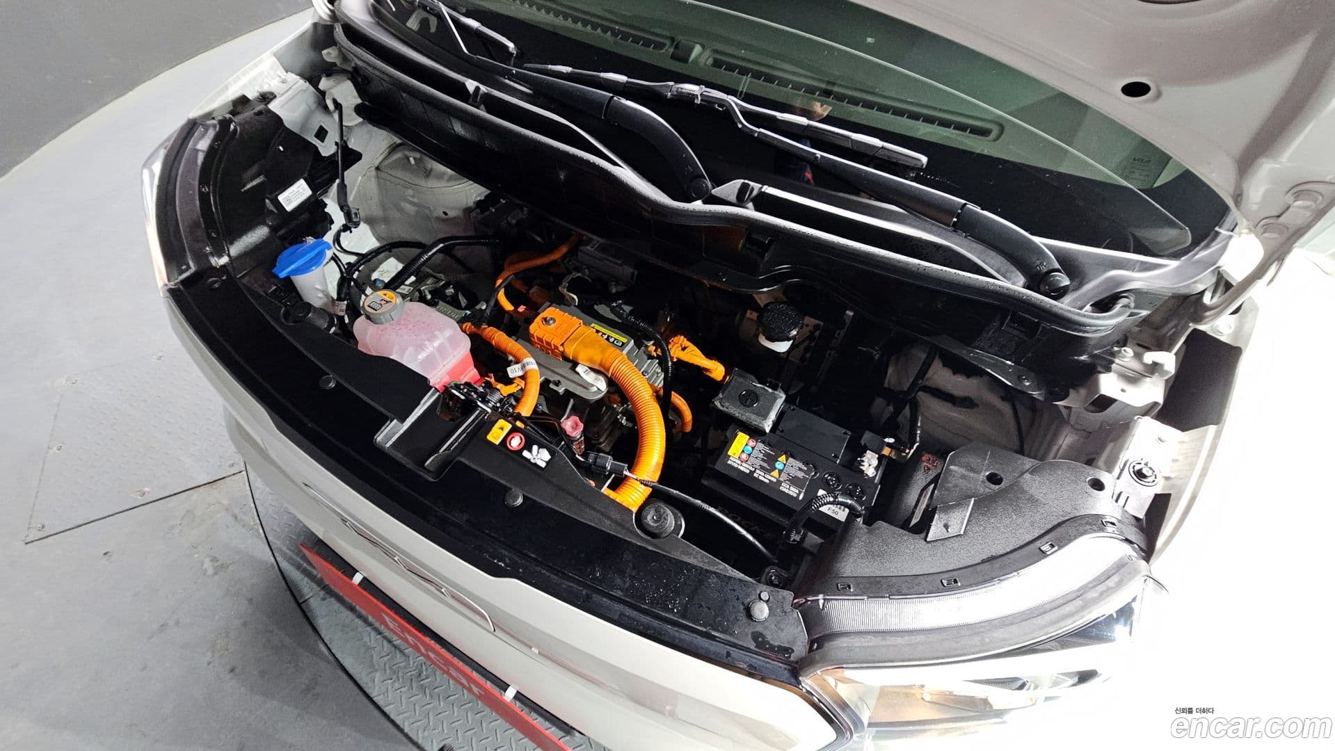 Main__Slider__Photo:RAY Kia 2023.9-5