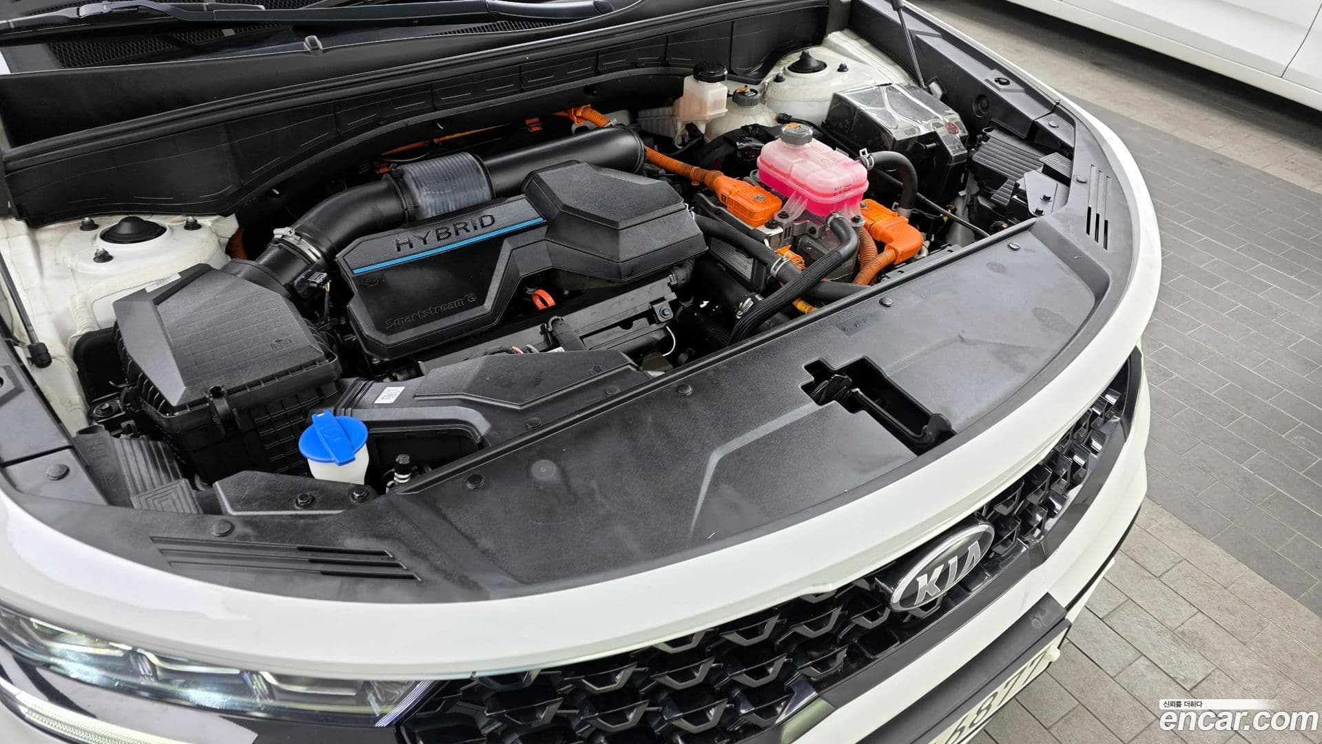 Main__Slider__Photo:Sorento Kia 2020.11-5