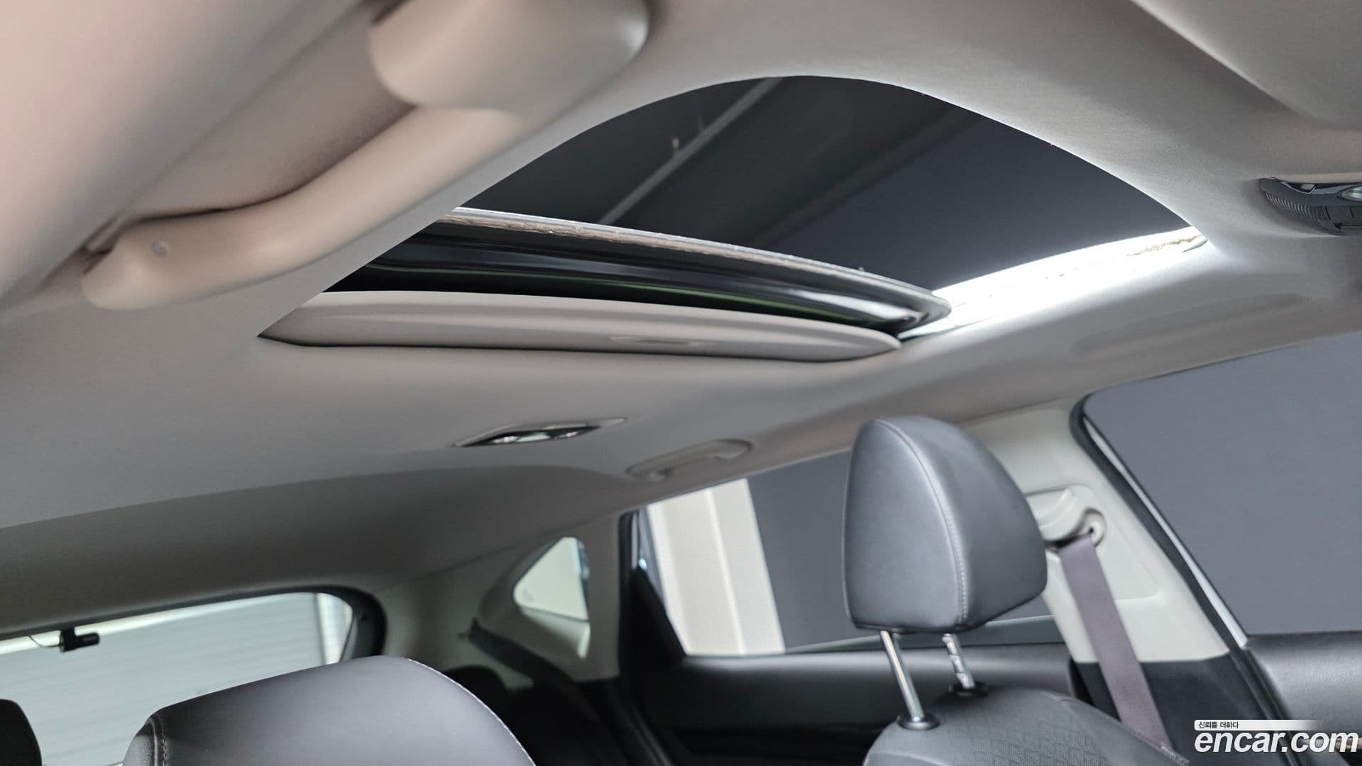 Main__Slider__Photo:Seltos Kia 2020.6-17