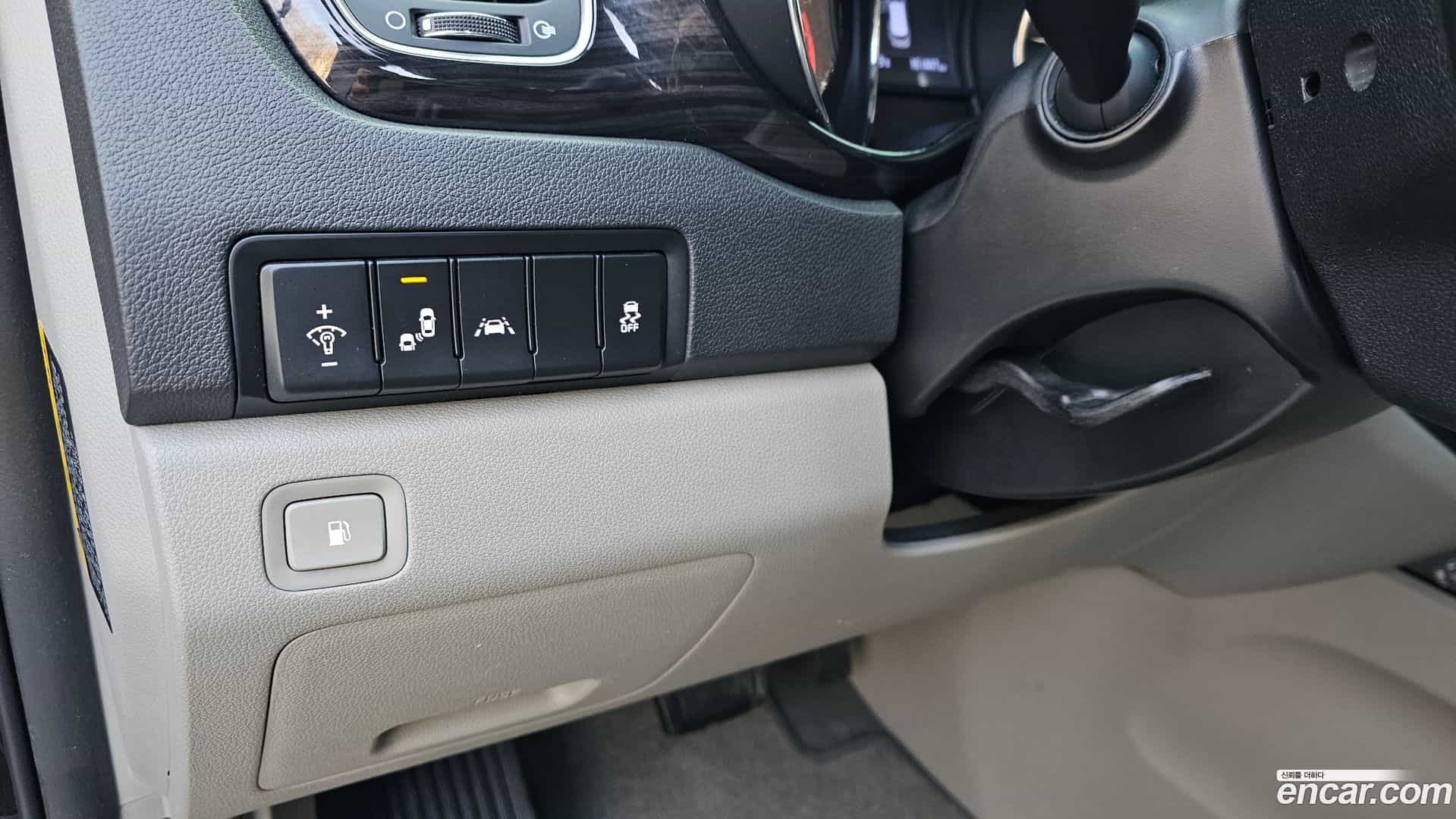 Canival Kia 2018.11-OPTION-018