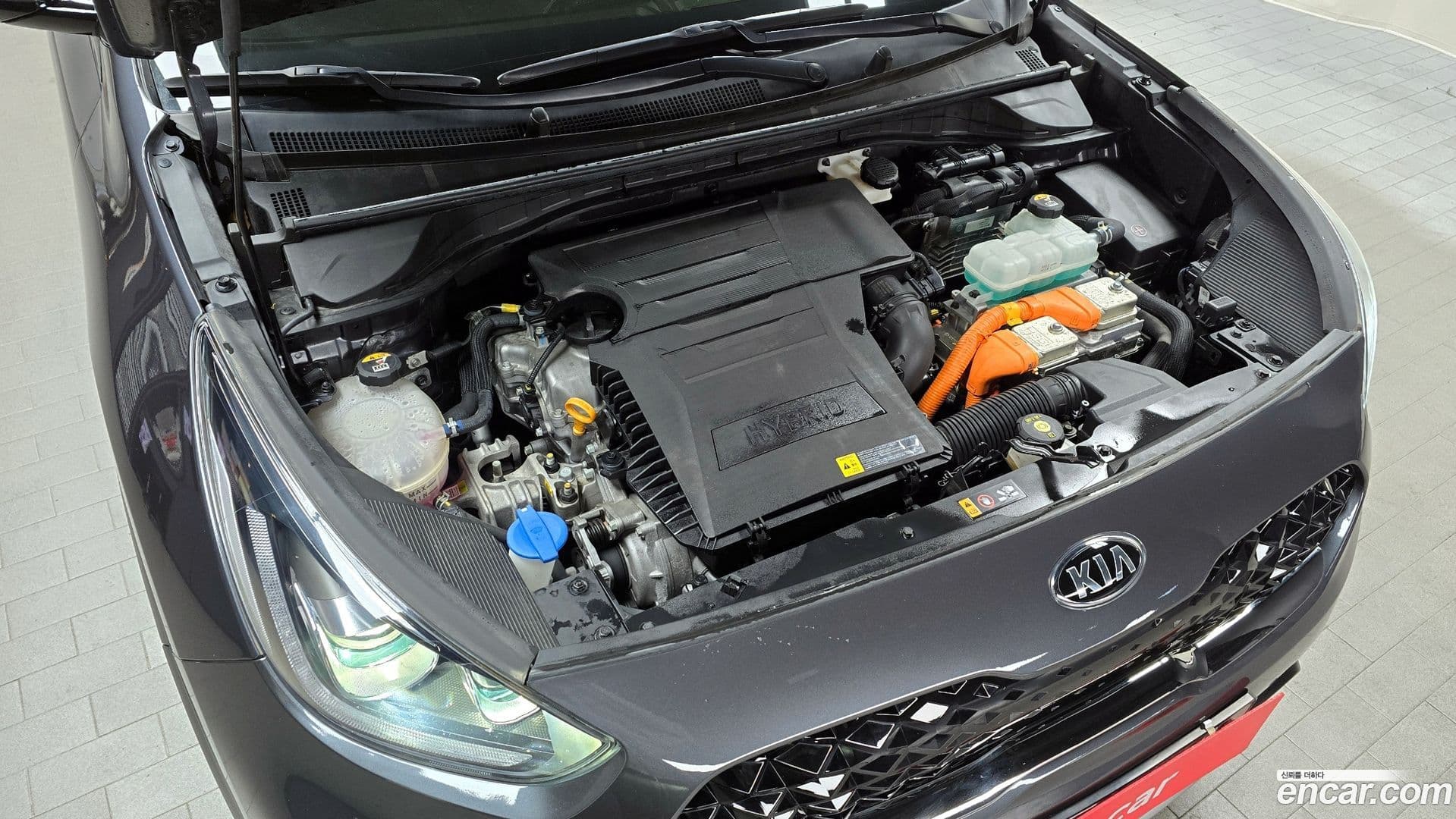 Main__Slider__Photo:Niro Kia 2020.5-5