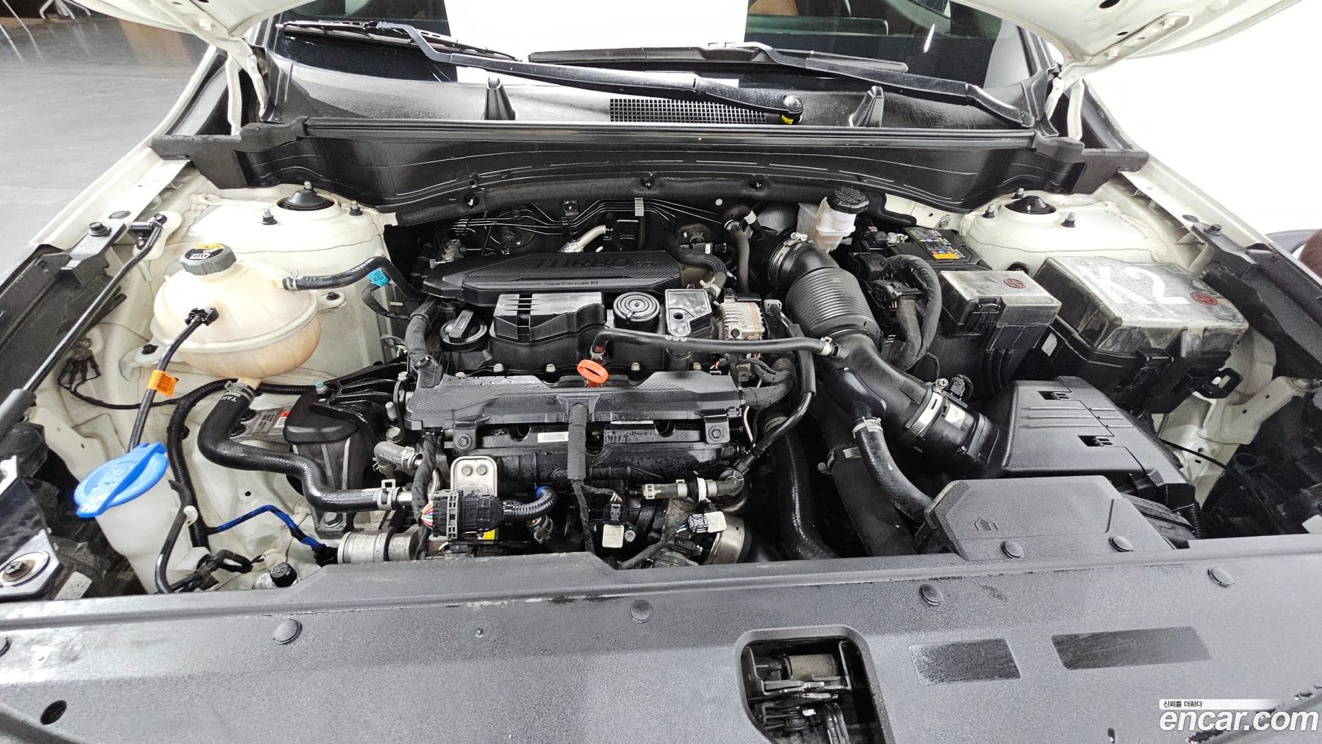 Main__Slider__Photo:Sportage Kia 2022.4-5