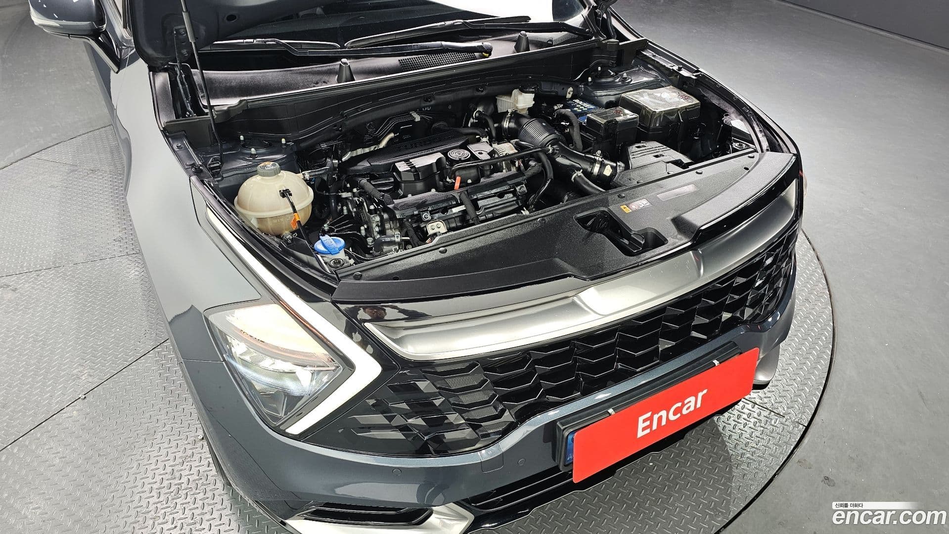 Main__Slider__Photo:Sportage Kia 2021.10-5