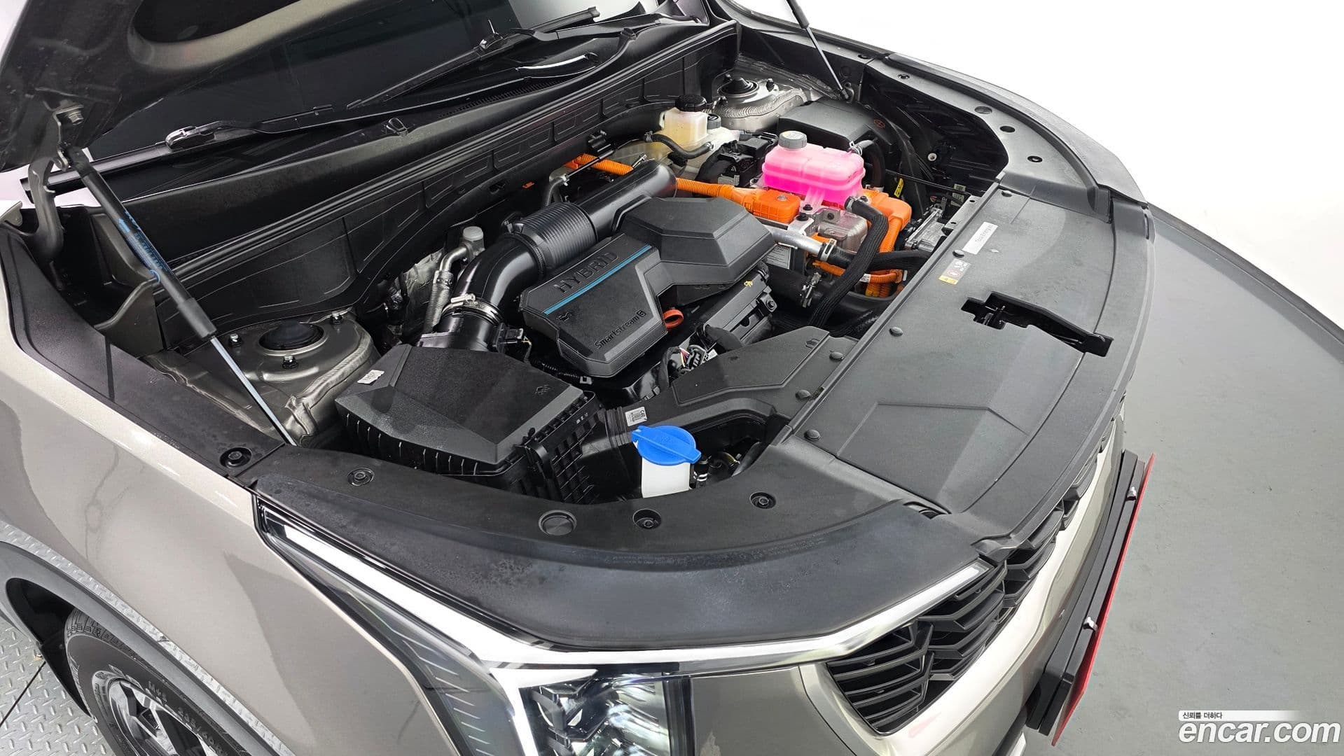 Main__Slider__Photo:Sorento Kia 2024.11-5