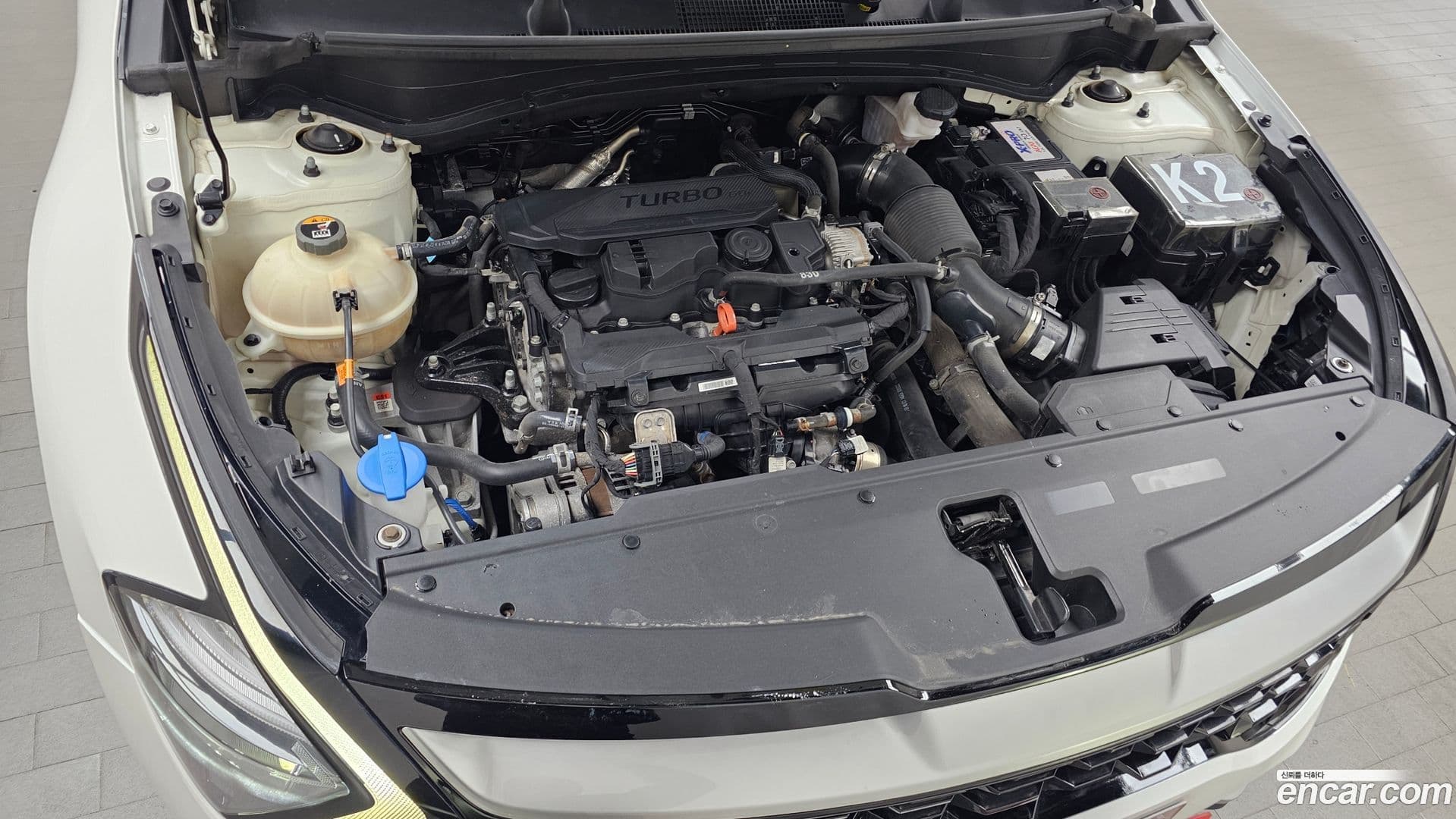 Main__Slider__Photo:Sportage Kia 2022.4-5