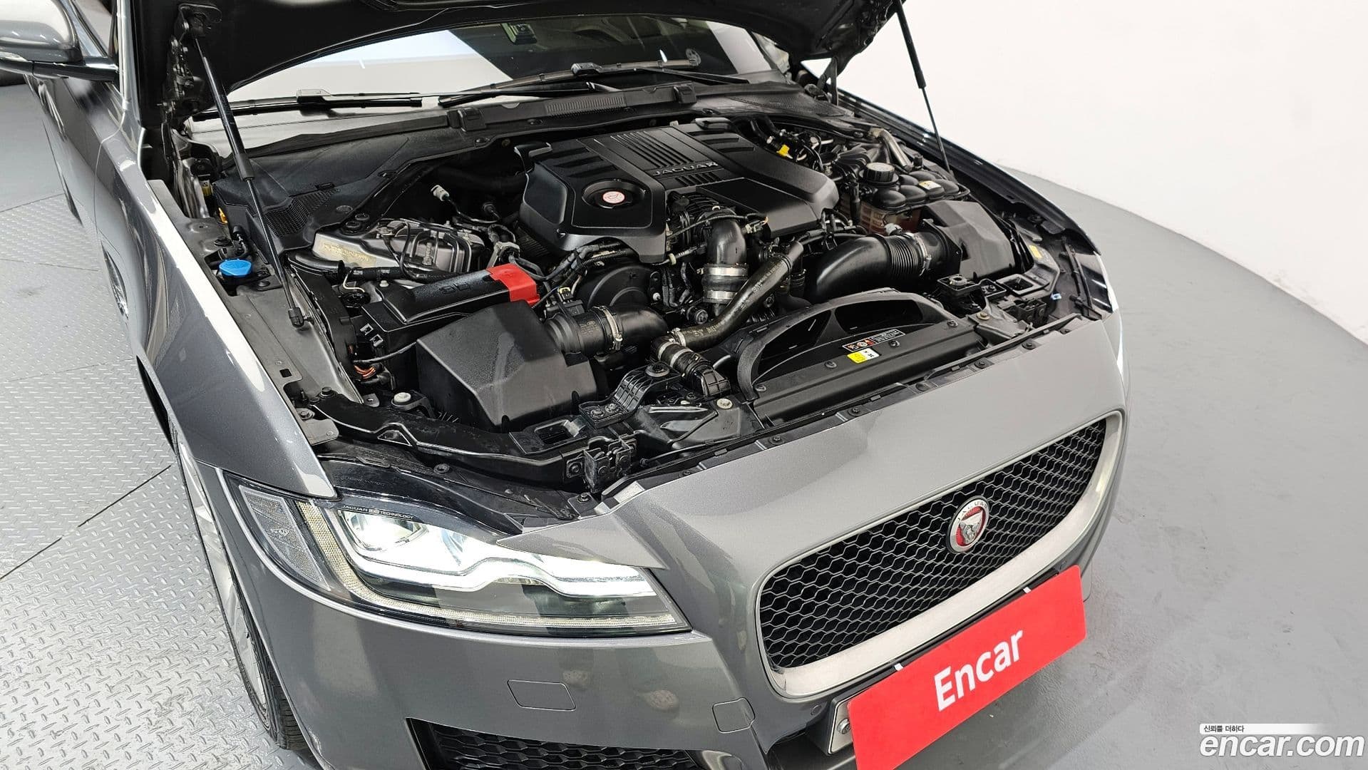 Main__Slider__Photo:XF Jaguar 2017.6-5