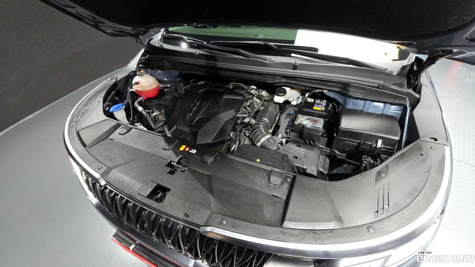 Main__Slider__Photo:Canival Kia 2021.3-5