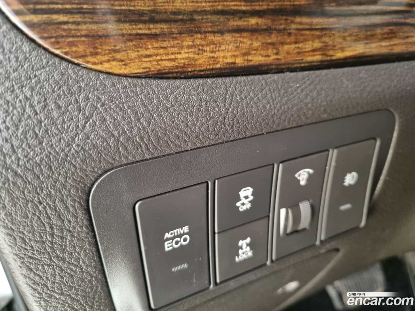 Santafe Hyundai 2010.6-OPTION-019