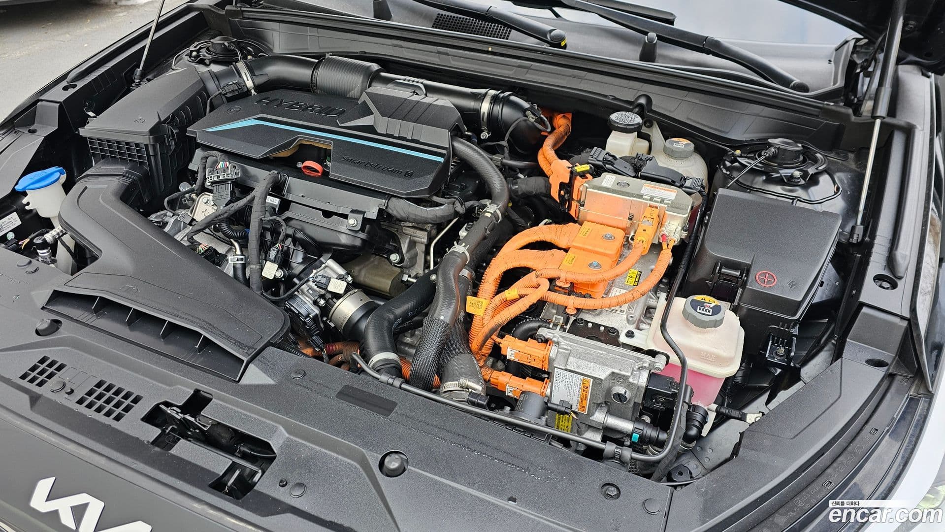 Main__Slider__Photo:K8 Kia 2021.5-5