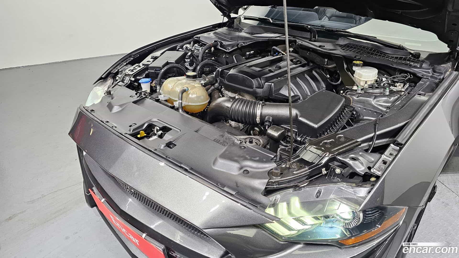 Mustang Ford 2020.3-INNER-006