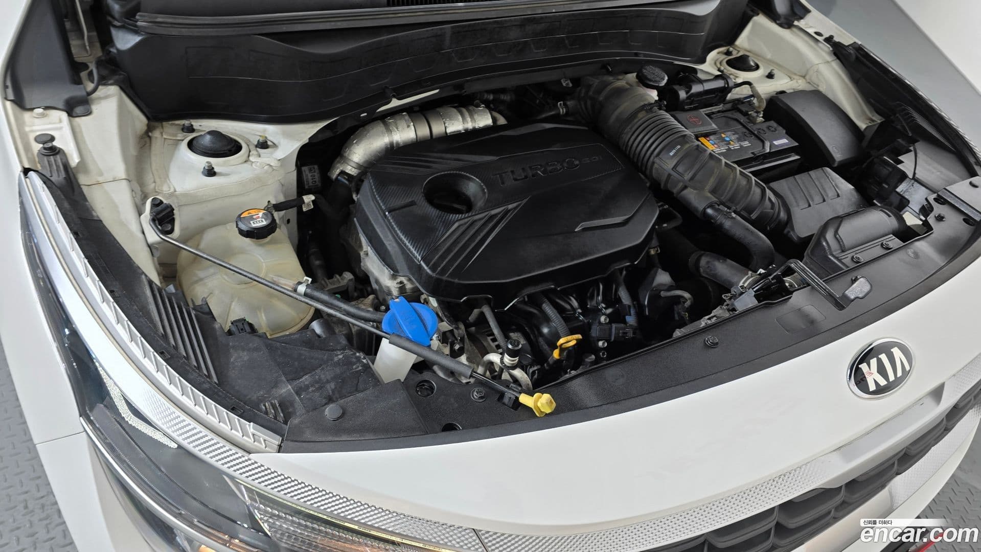 Main__Slider__Photo:Seltos Kia 2019.10-5