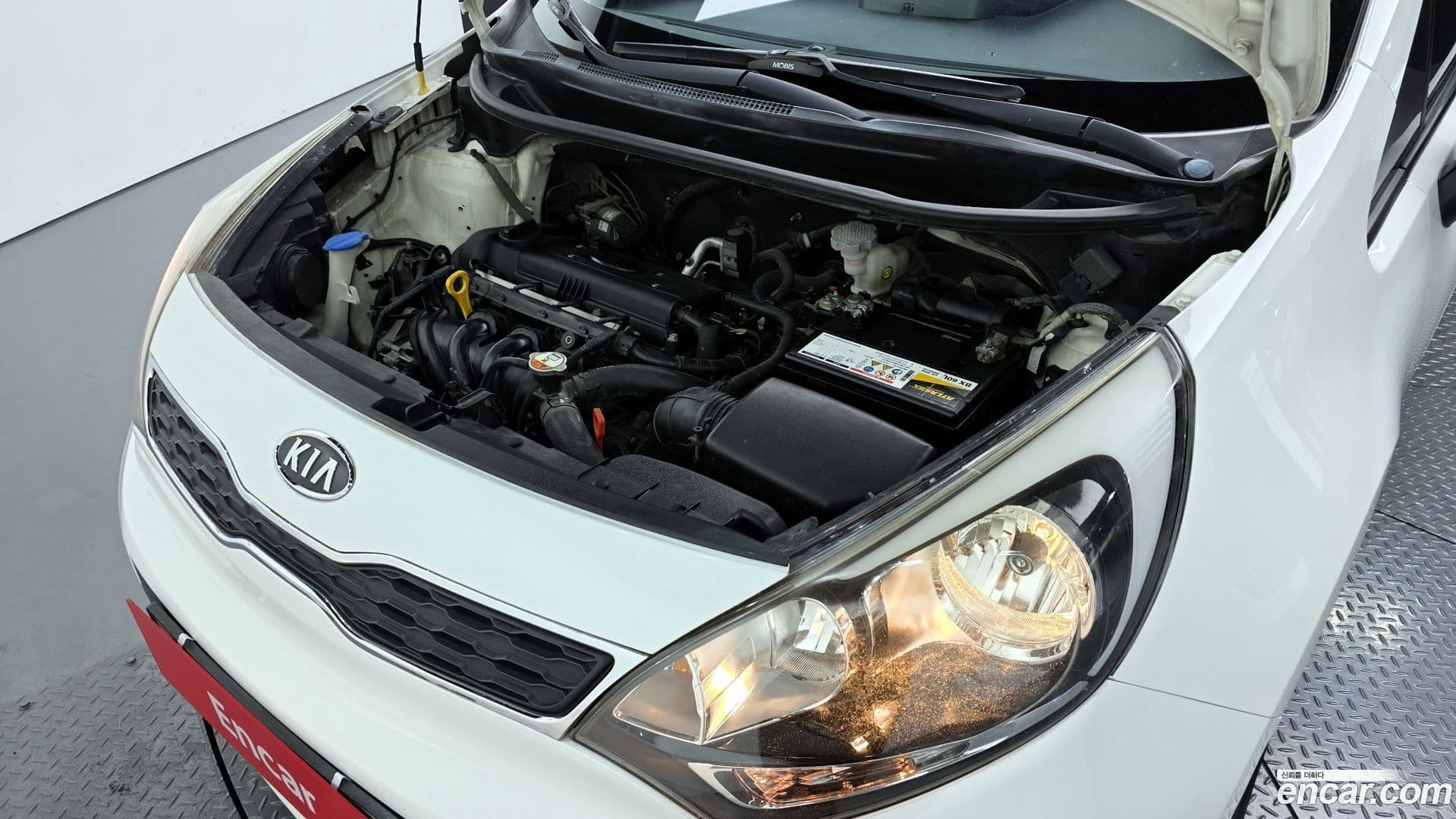 Main__Slider__Photo:pride Kia 2012.4-5