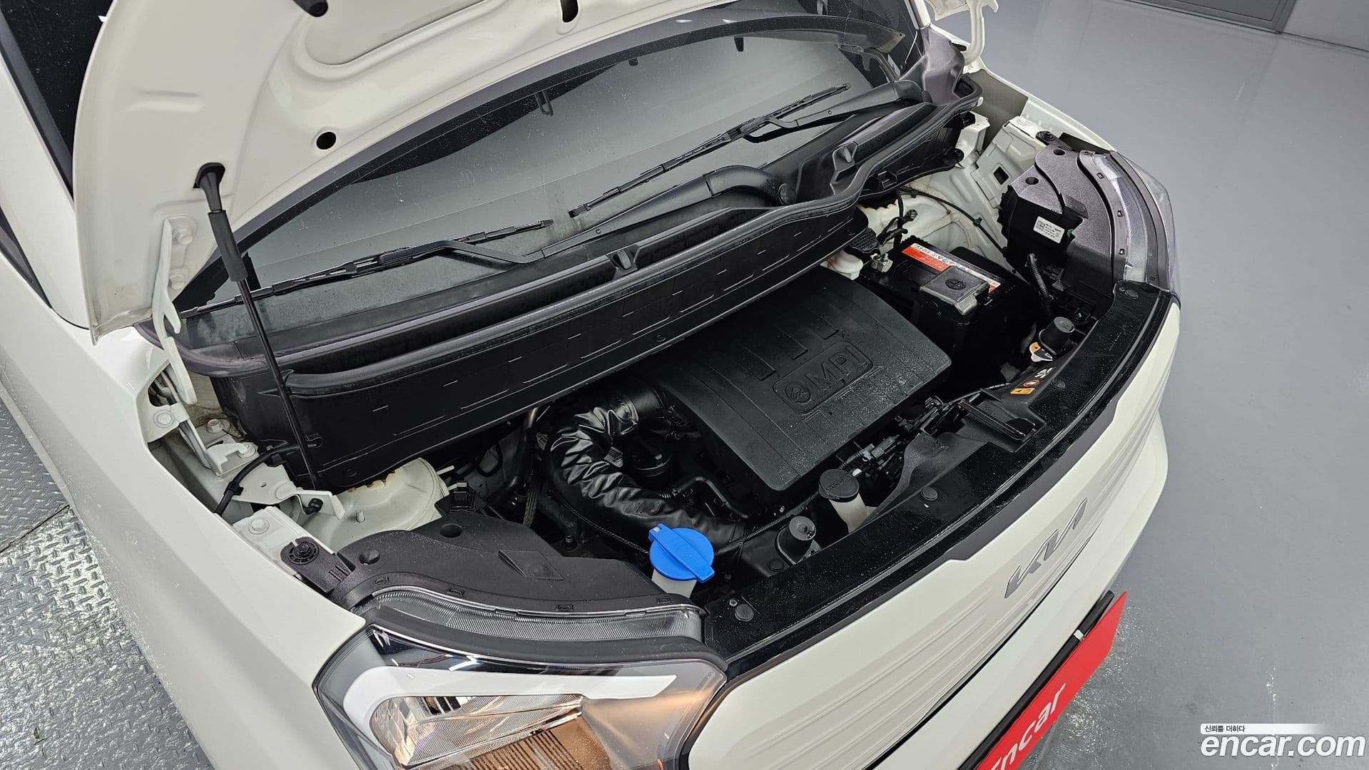 Main__Slider__Photo:RAY Kia 2022.11-5