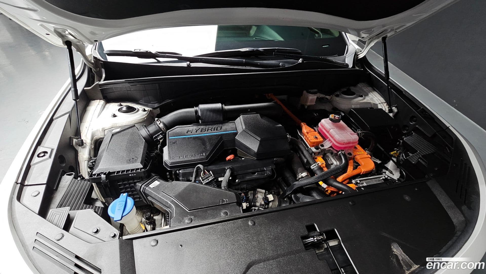 Main__Slider__Photo:Sorento Kia 2021.11-5