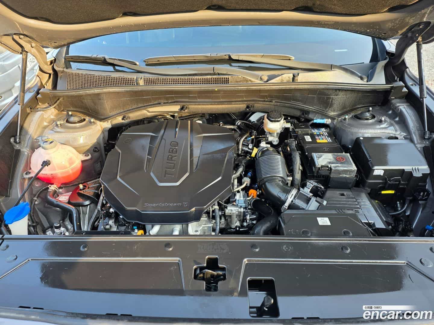 Santafe Hyundai 2021.0-OPTION-019