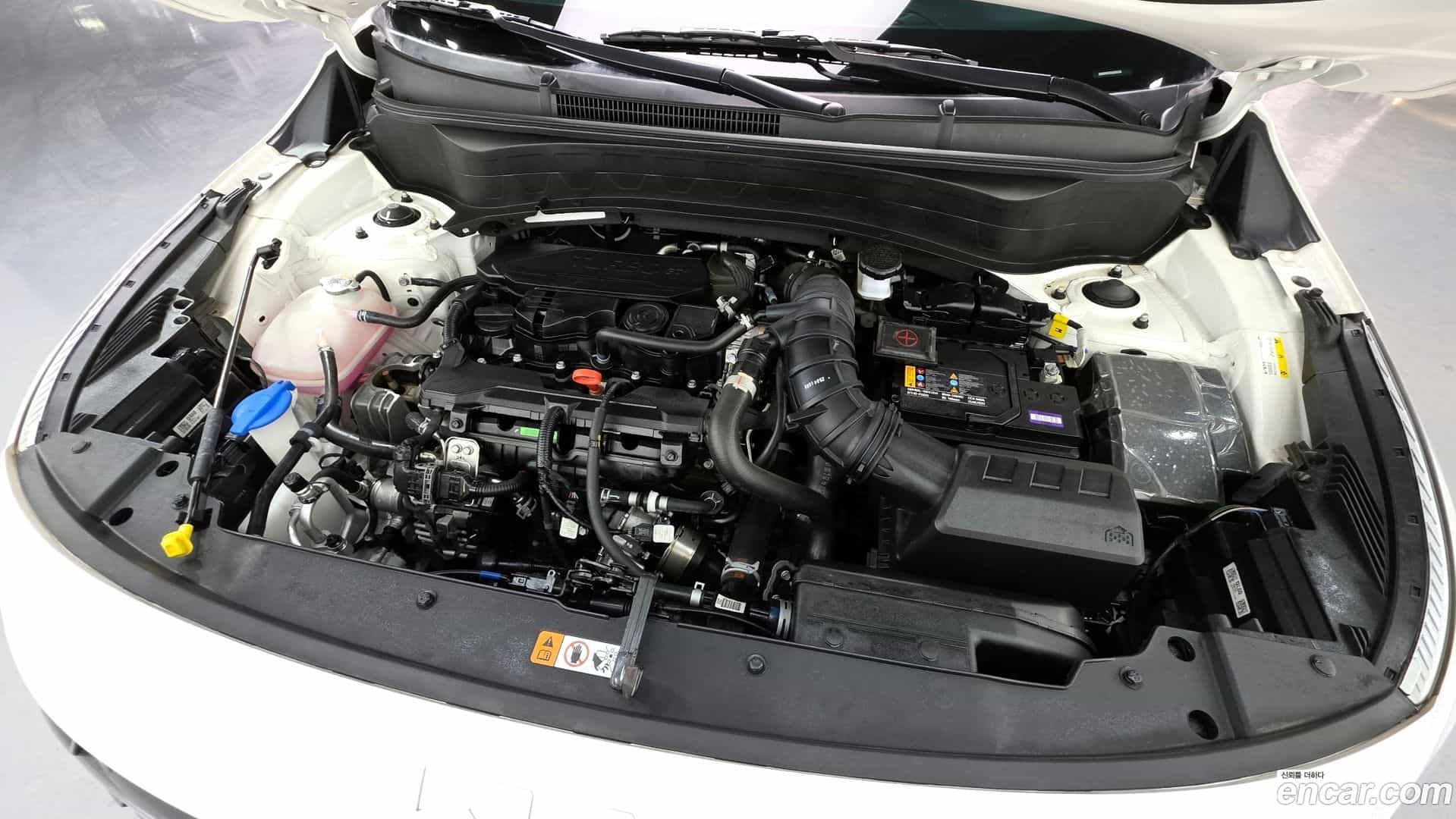 Seltos Kia 2025.3-OUTER-006