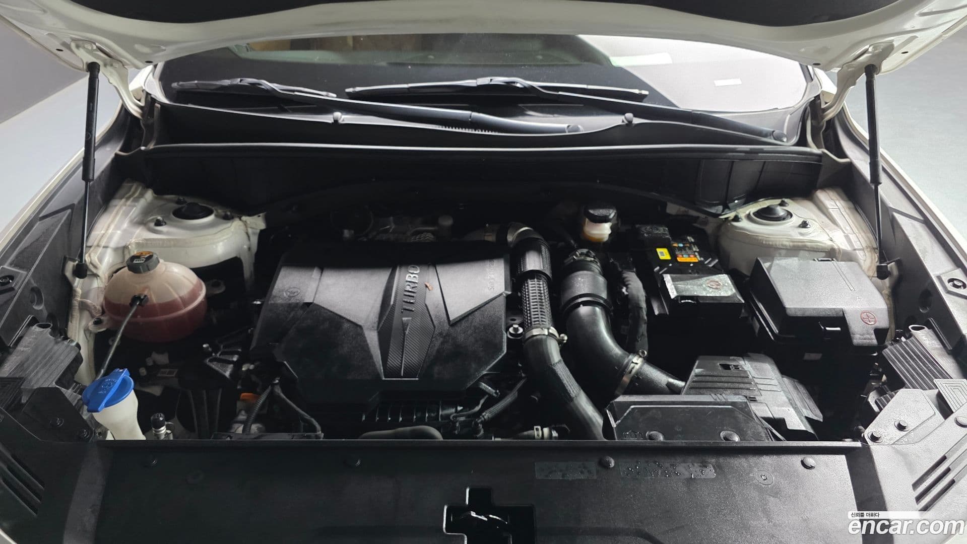 Main__Slider__Photo:Sorento Kia 2020.11-5