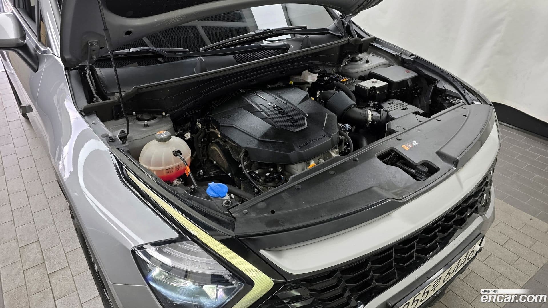 Main__Slider__Photo:Sportage Kia 2022.0-5