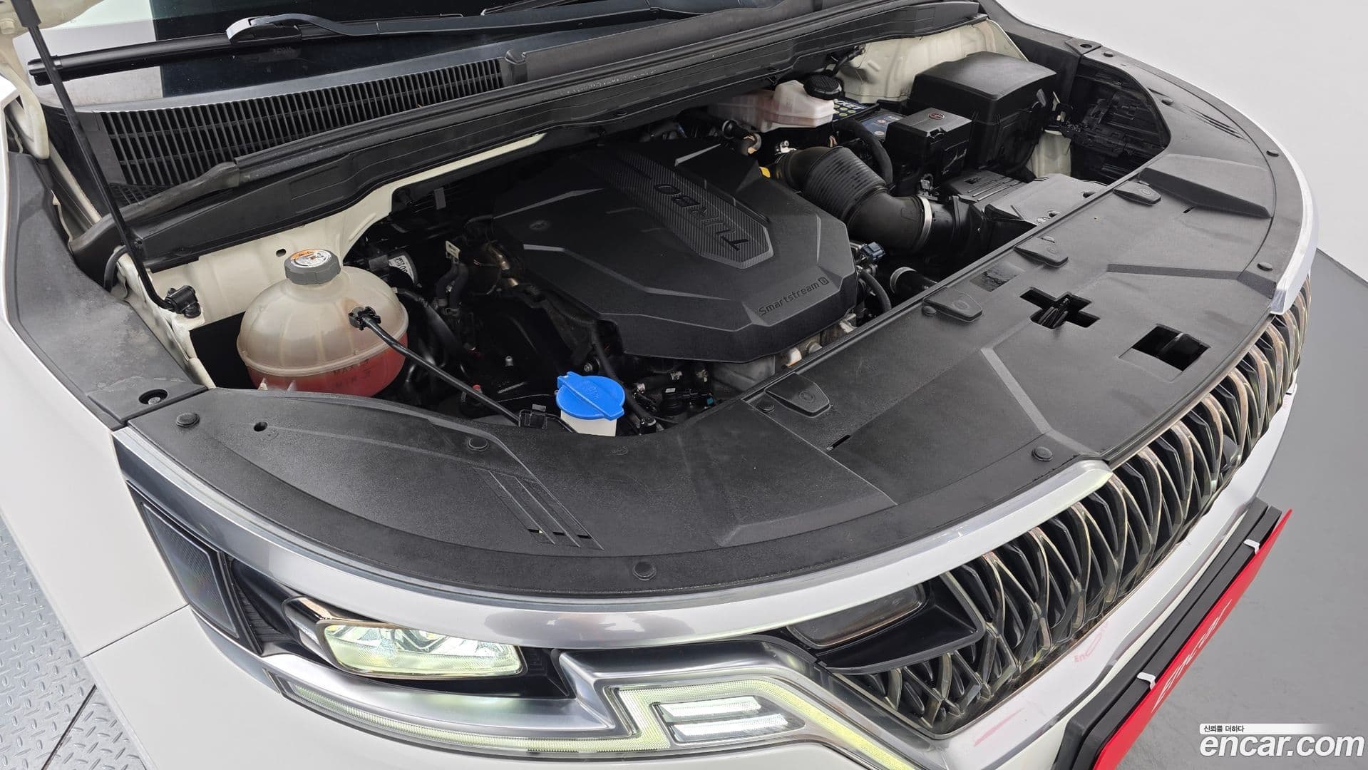 Main__Slider__Photo:Canival Kia 2020.8-5