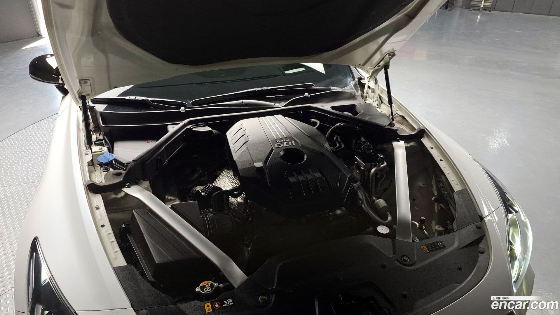 Main__Slider__Photo:Stinger Kia 2020.6-5