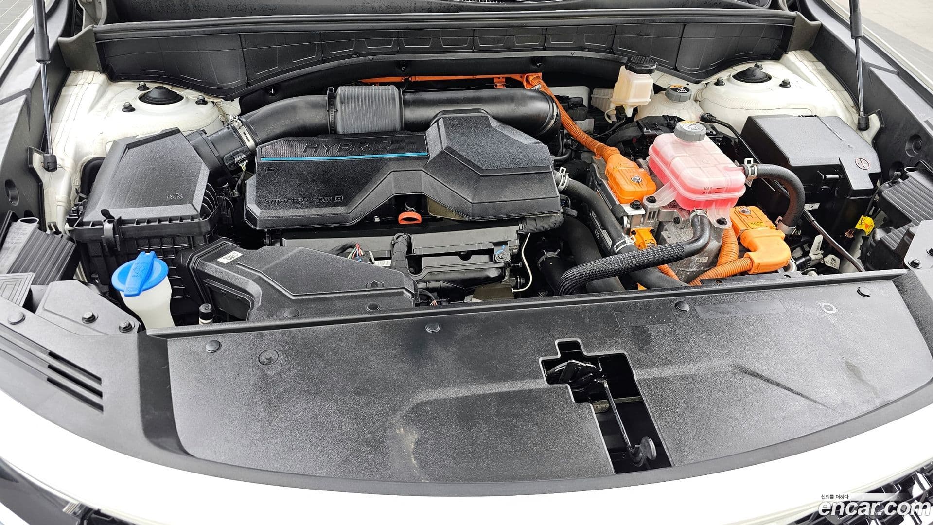 Main__Slider__Photo:Sorento Kia 2020.8-5