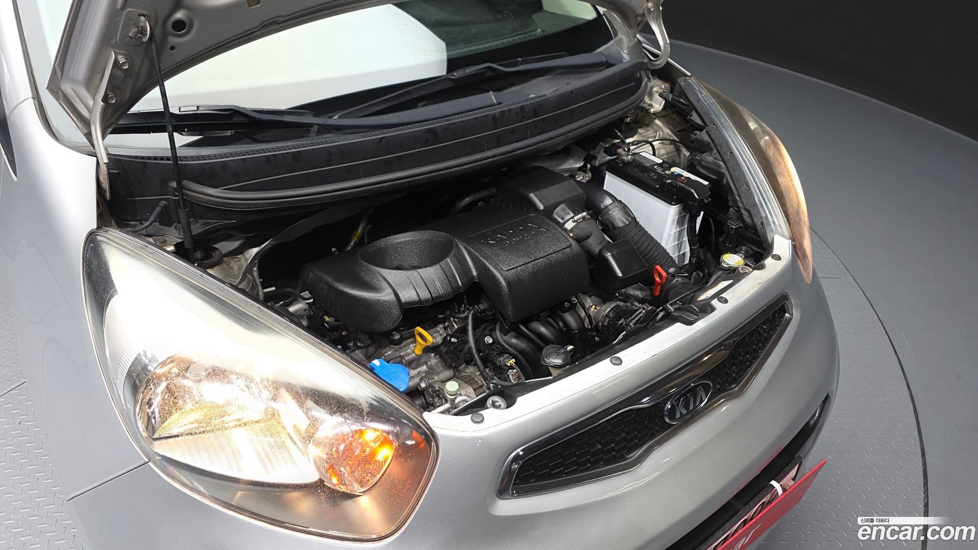 Main__Slider__Photo:morning Kia 2011.6-5