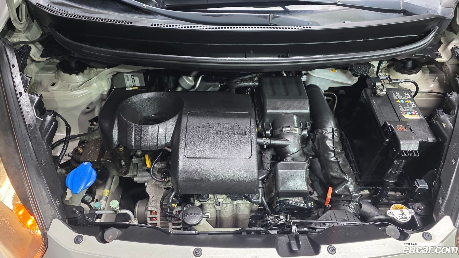 Main__Slider__Photo:morning Kia 2016.4-5