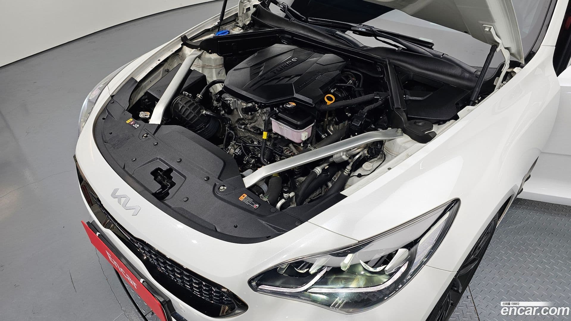 Main__Slider__Photo:Stinger Kia 2022.11-5