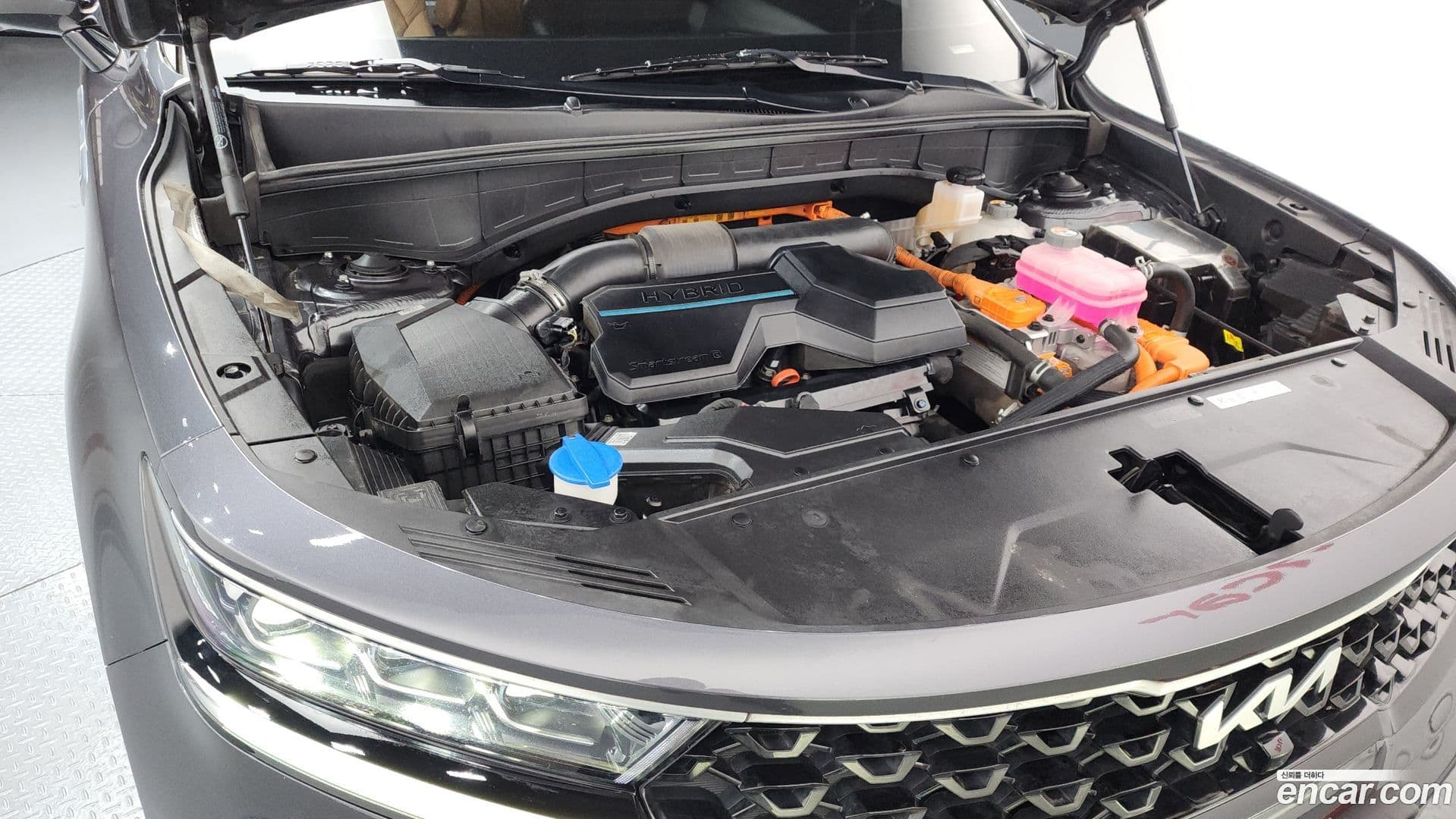 Main__Slider__Photo:Sorento Kia 2022.1-5