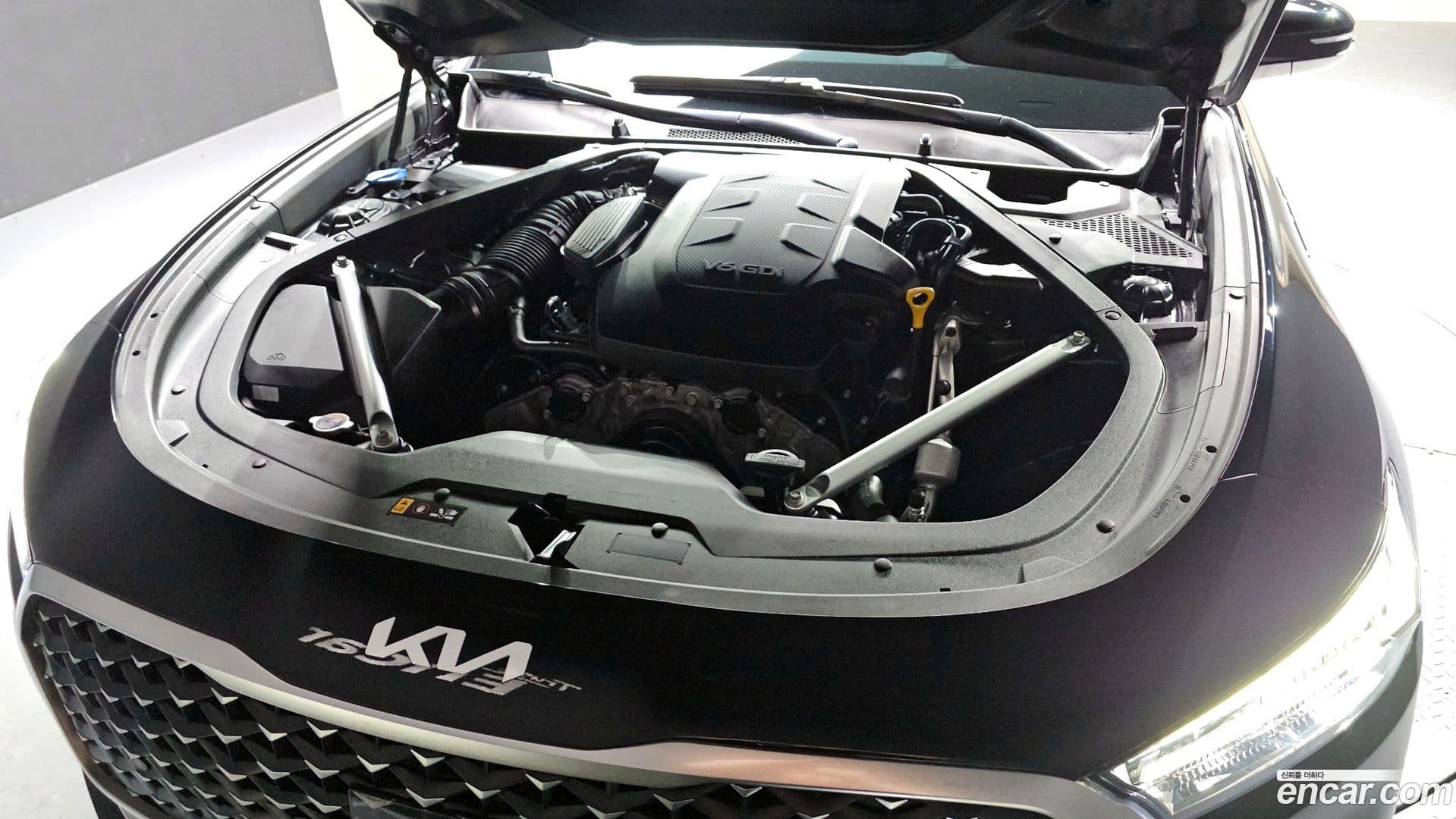 Main__Slider__Photo:K9 Kia 2023.10-5