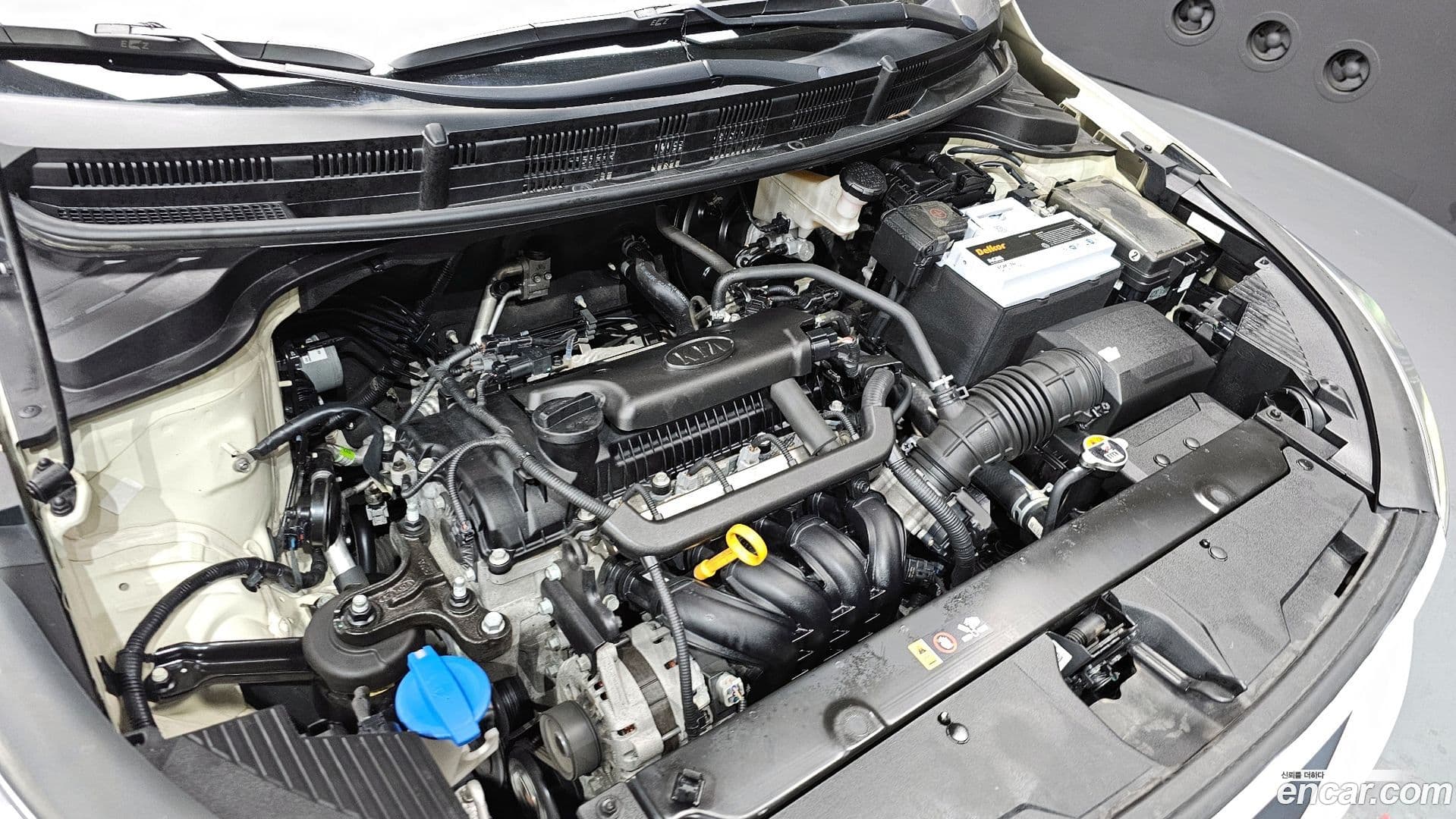 Main__Slider__Photo:Stonic Kia 2020.3-5