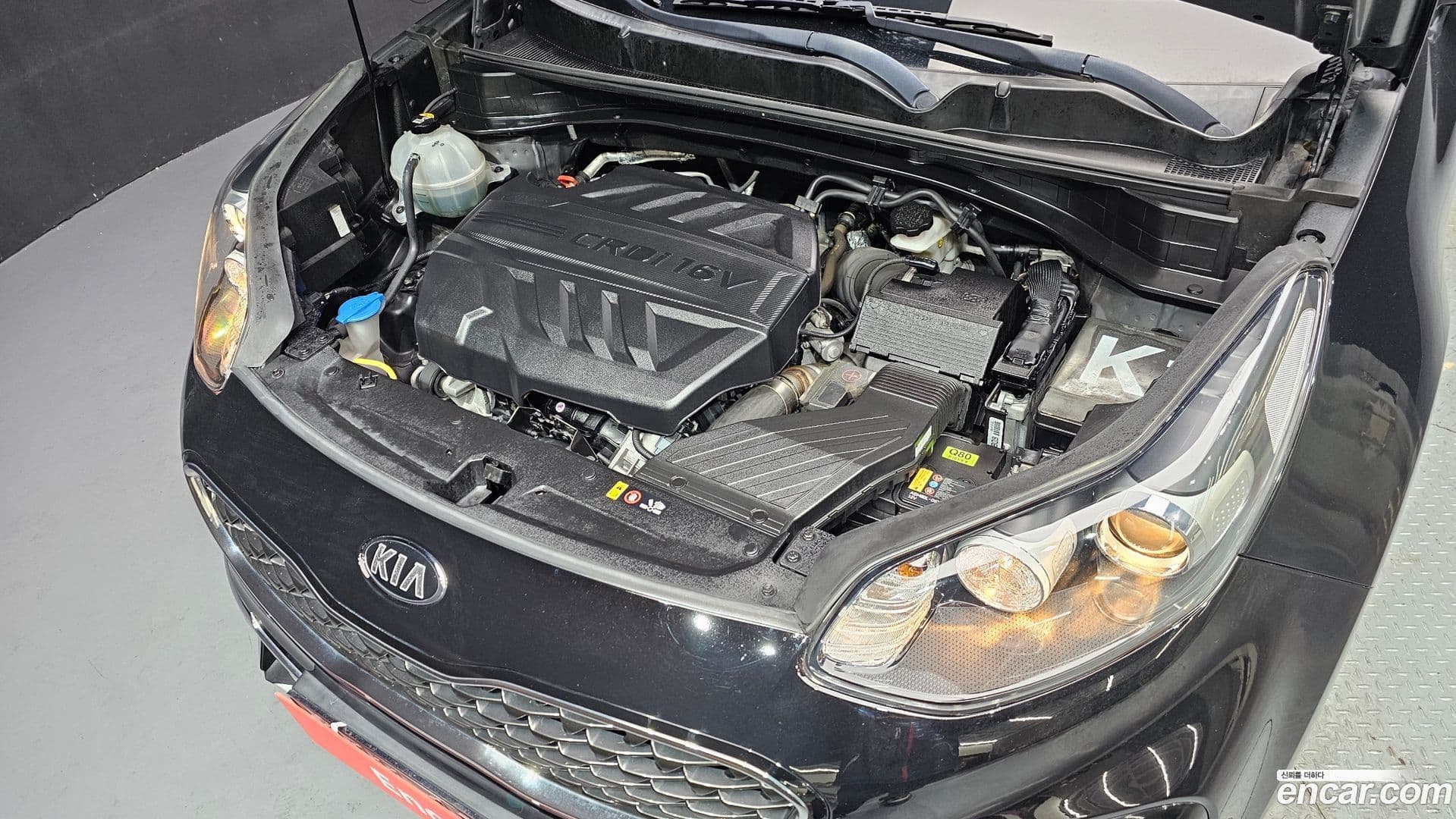 Main__Slider__Photo:Sportage Kia 2018.9-5