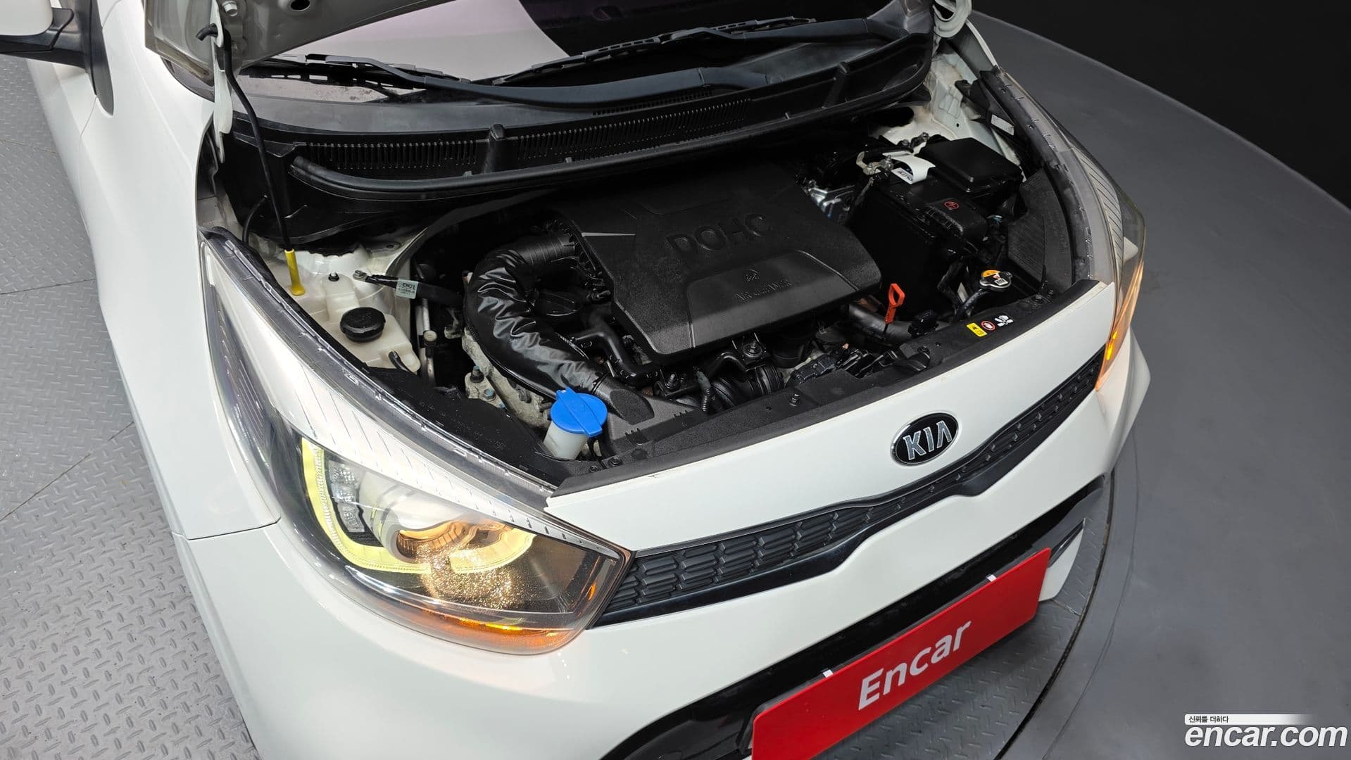 Main__Slider__Photo:morning Kia 2018.5-5