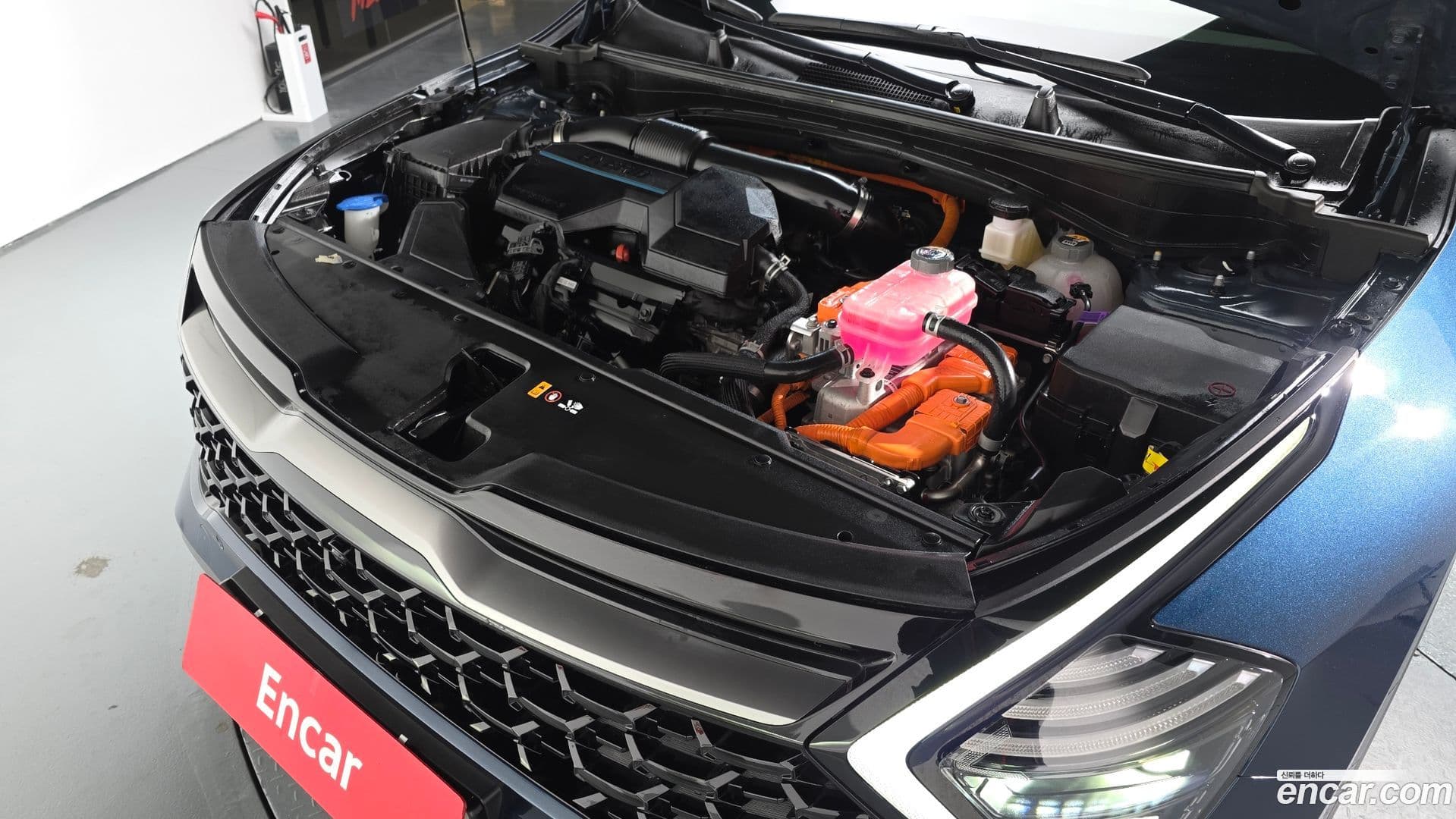 Main__Slider__Photo:Sportage Kia 2021.9-5