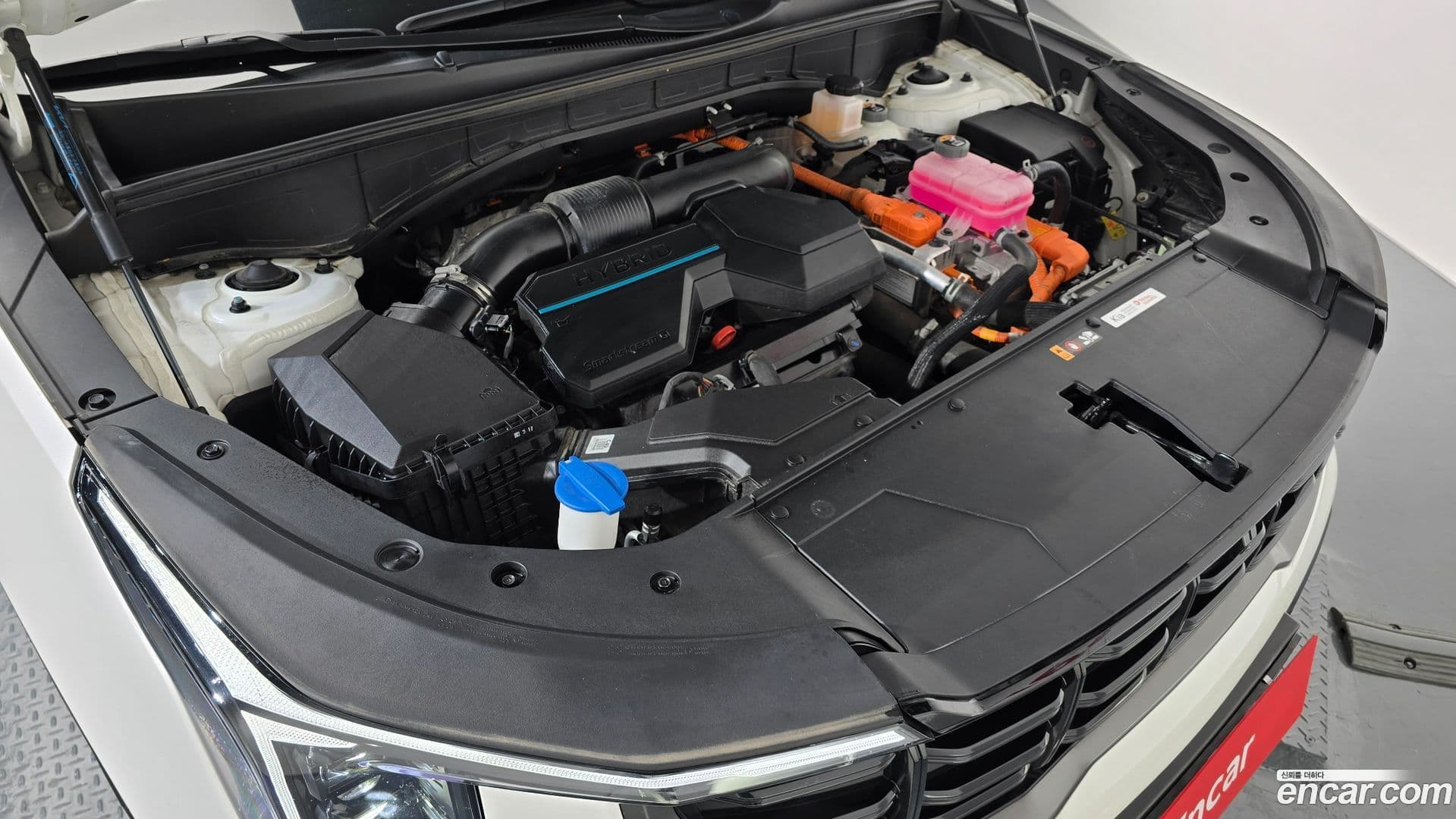 Main__Slider__Photo:Sorento Kia 2023.10-5