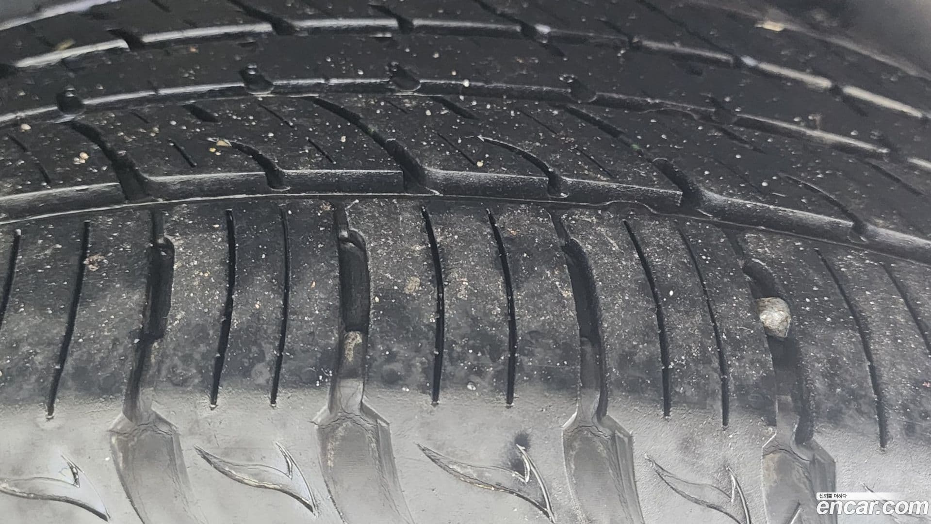 Main__Slider__Photo:KORANDO KG_Mobility_Ssangyong 2014.11-18