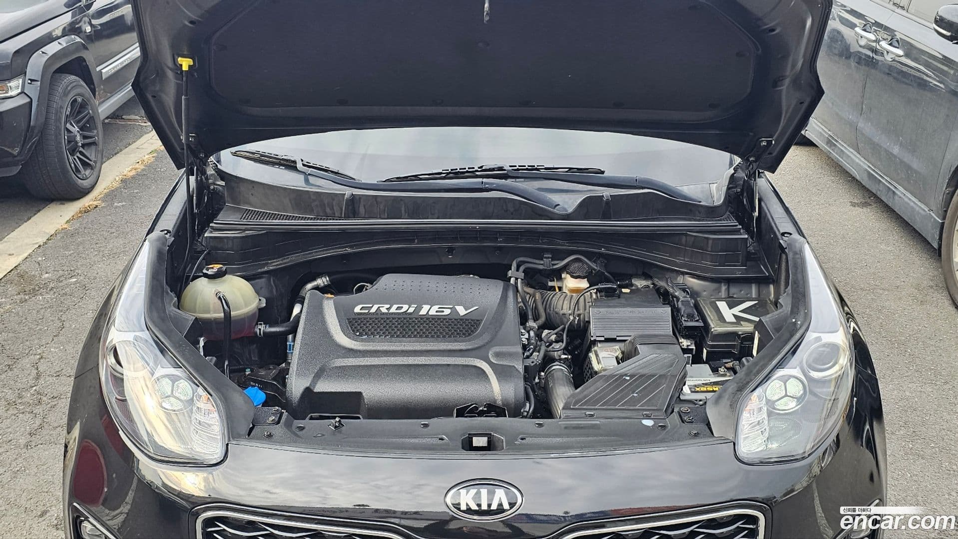 Main__Slider__Photo:Sportage Kia 2016.6-19