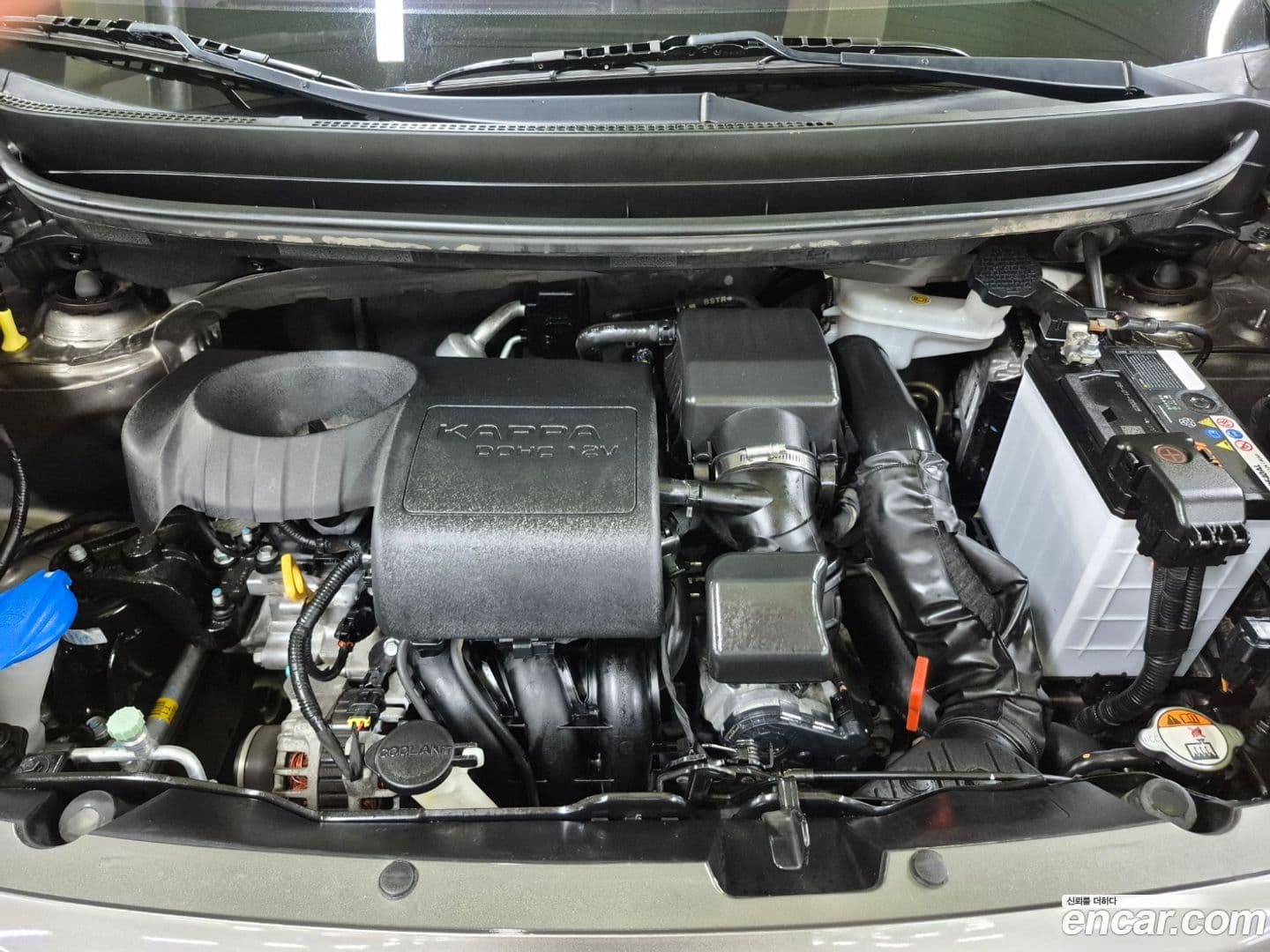 Main__Slider__Photo:morning Kia 2016.1-19