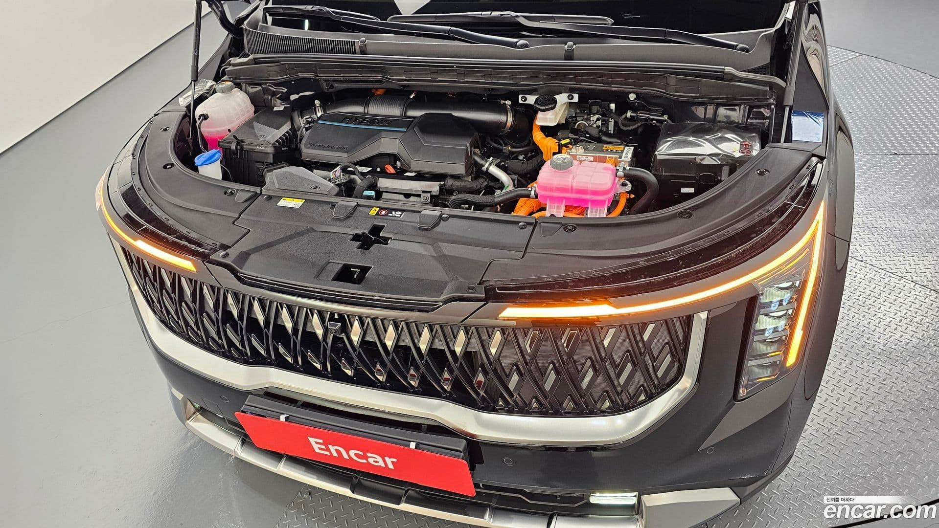 Main__Slider__Photo:Canival Kia 2024.4-5