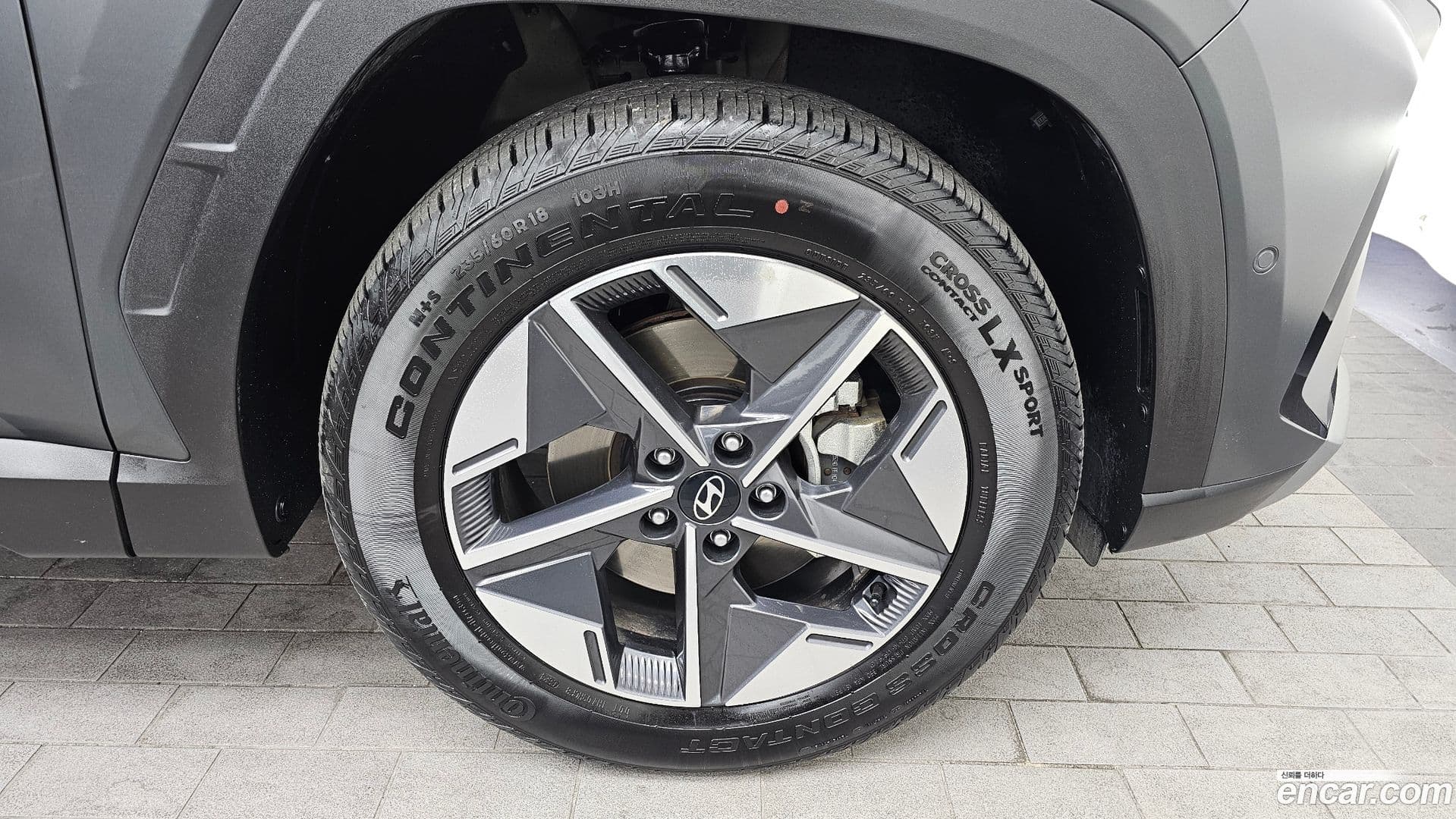 Main__Slider__Photo:Tucson Hyundai 2024.5-4