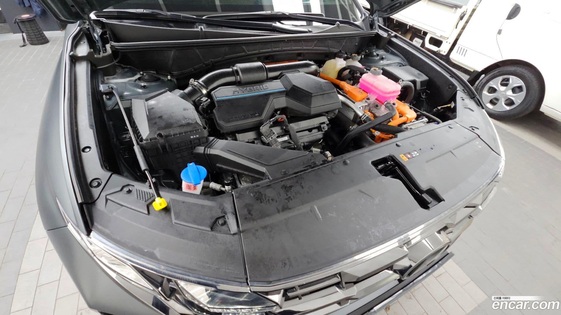 Main__Slider__Photo:Tucson Hyundai 2024.5-5