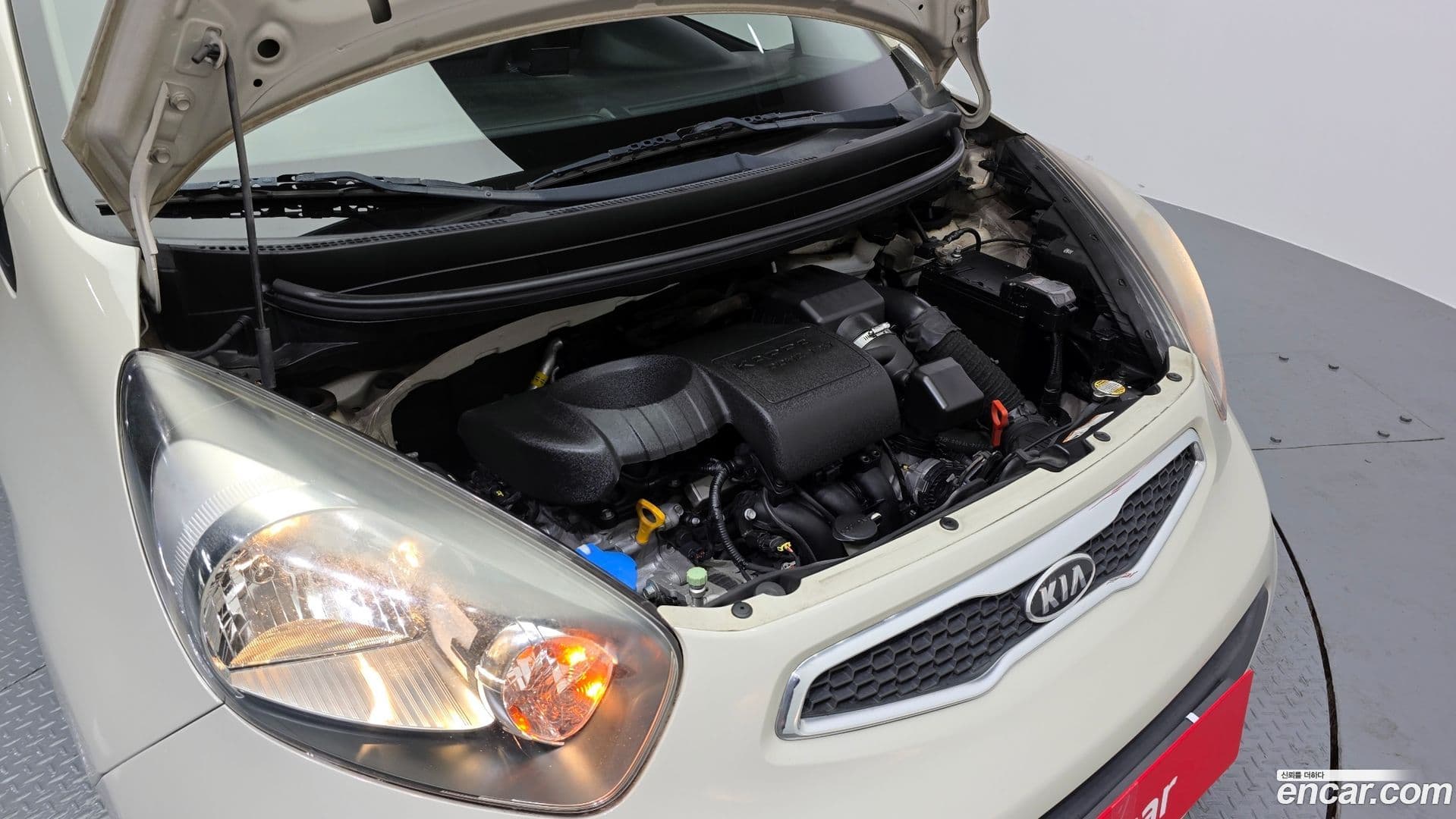 Main__Slider__Photo:morning Kia 2011.7-5