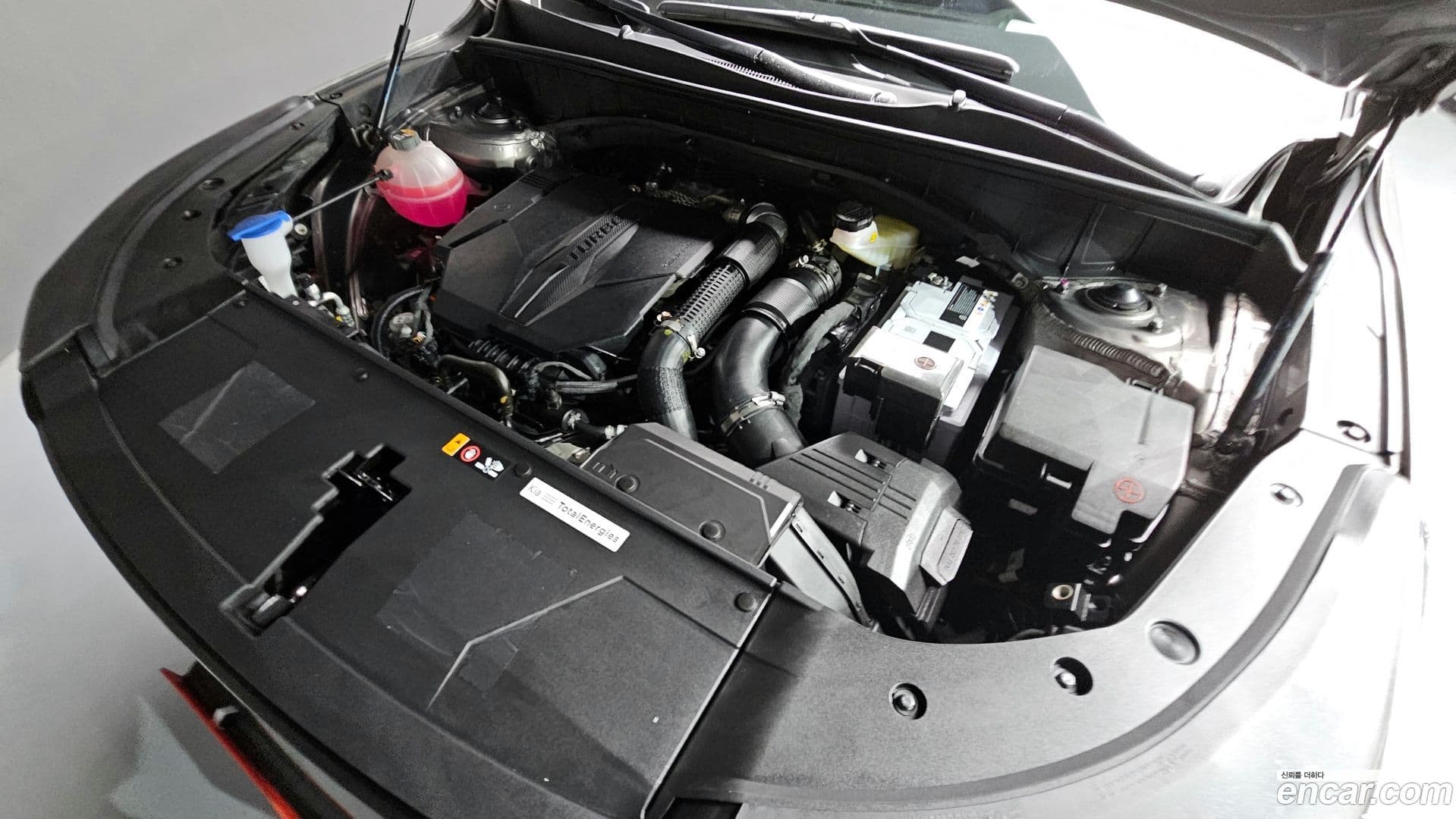 Main__Slider__Photo:Sorento Kia 2025.3-5